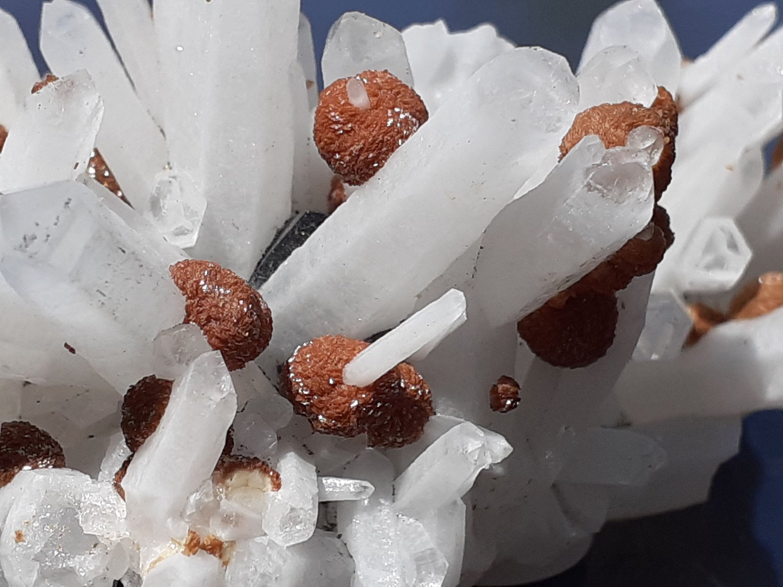 Quartz (variety Milky Quartz), Siderite, Sphalerite
5 x 3,5 cm
(Autor: Volkmar Stingl)