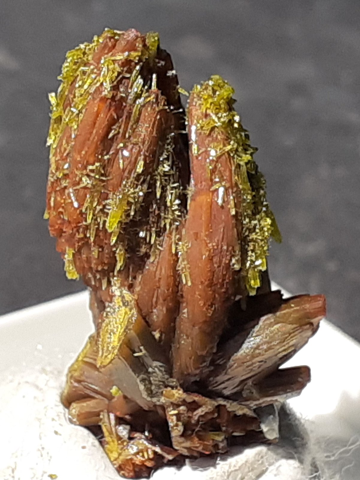 Descloizite, Pyromorphite
2,5 x 1 cm
(Autor: Volkmar Stingl)