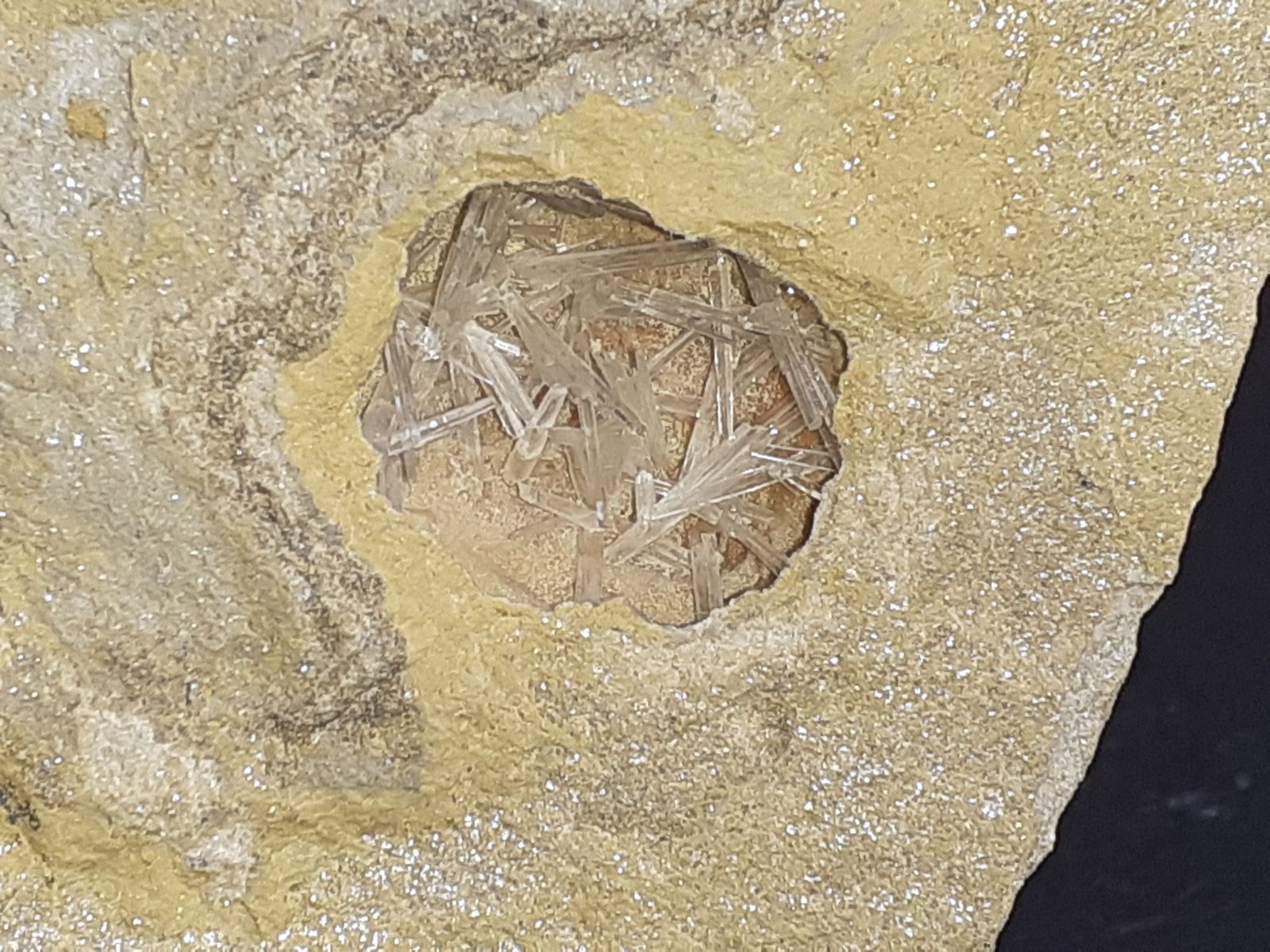 Aragonite
7 x 6,5 cm
(Autor: Volkmar Stingl)