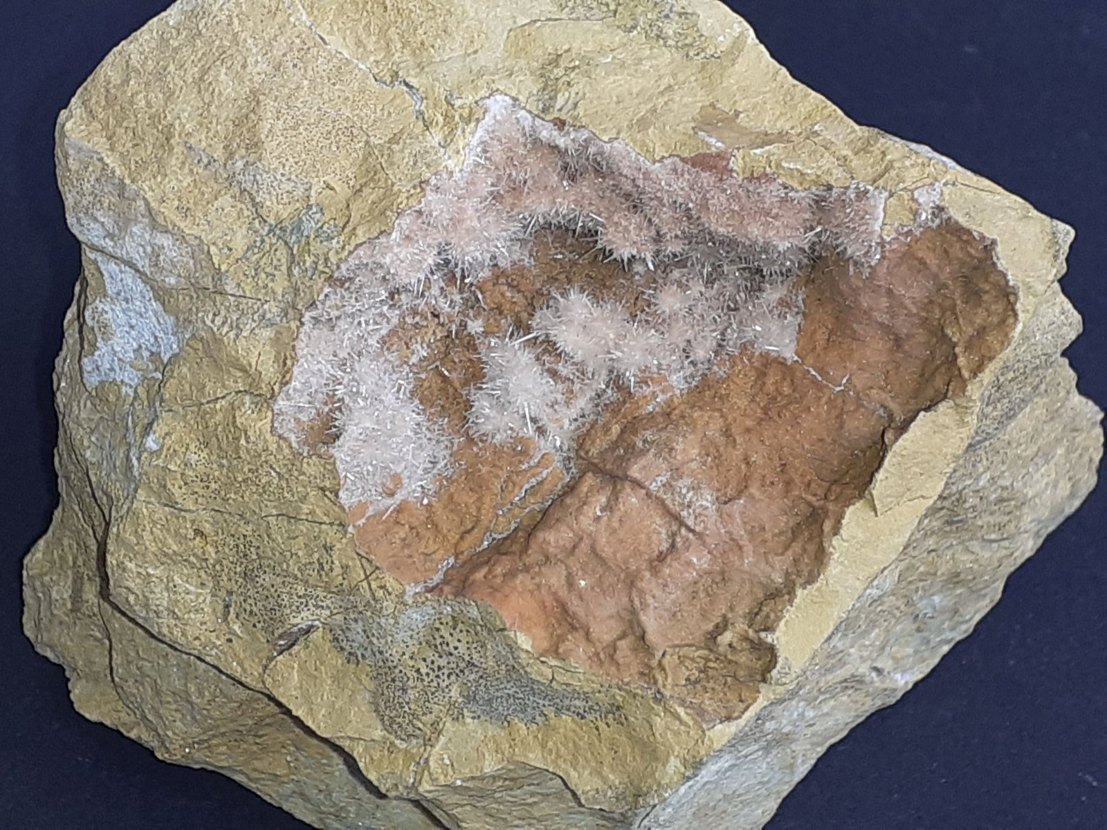 Aragonite
7 x 6 cm
(Autor: Volkmar Stingl)