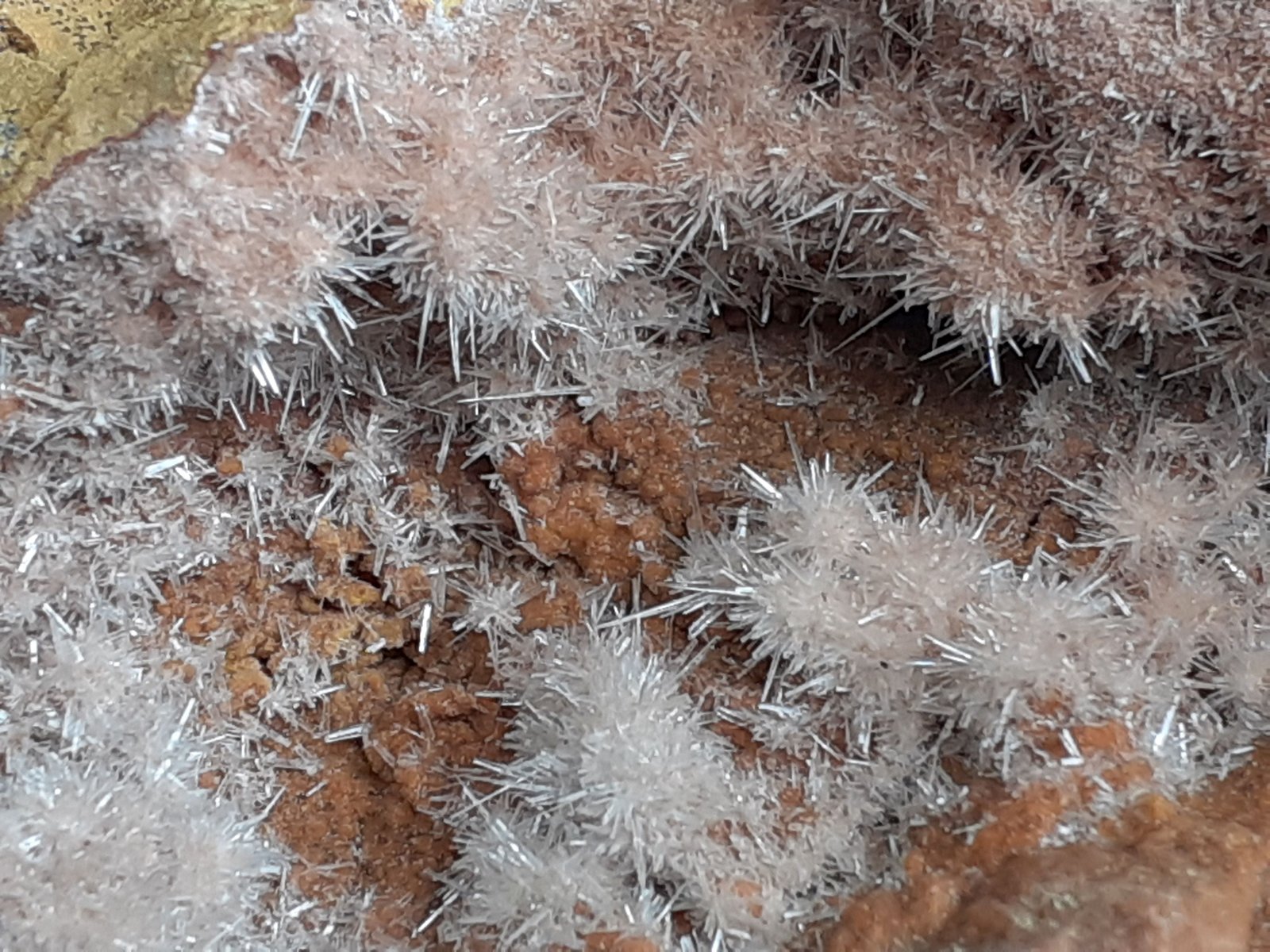 Aragonite
7 x 6 cm
(Autor: Volkmar Stingl)