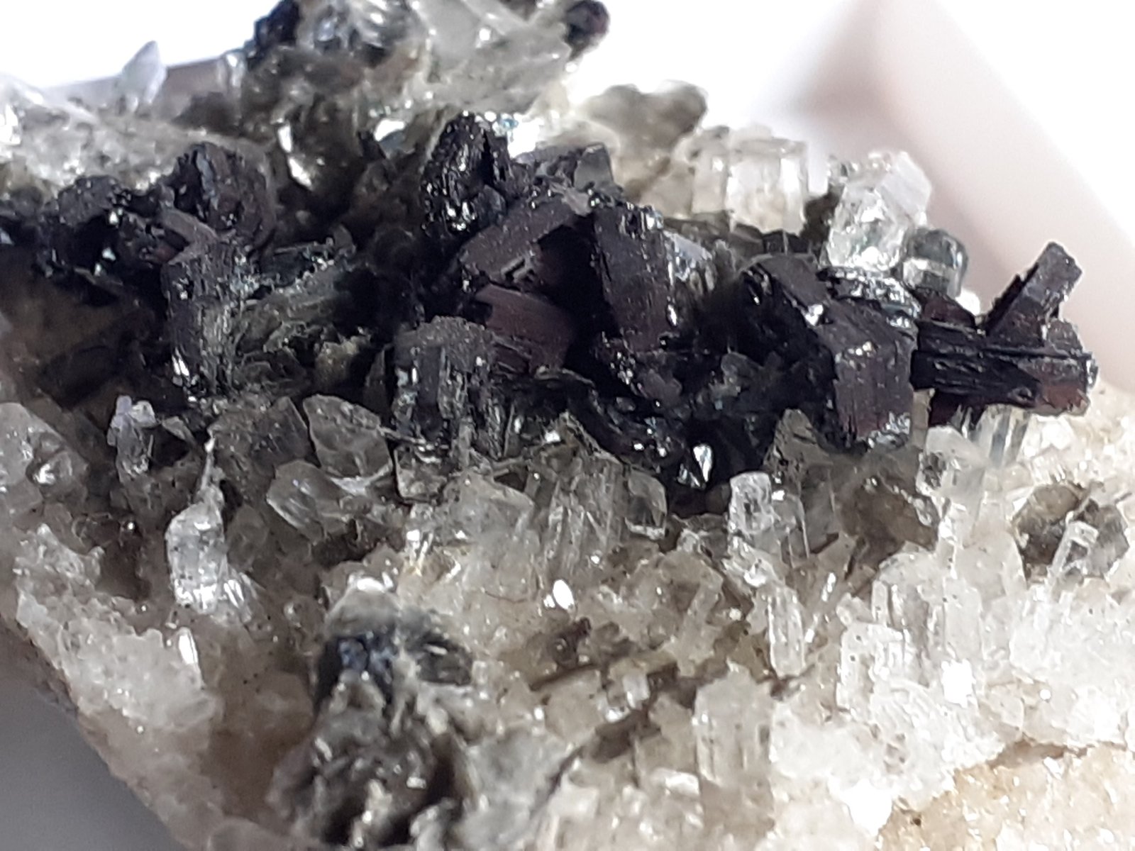 Hematite, Quartz
3,5 x 2,5 cm
(Autor: Volkmar Stingl)