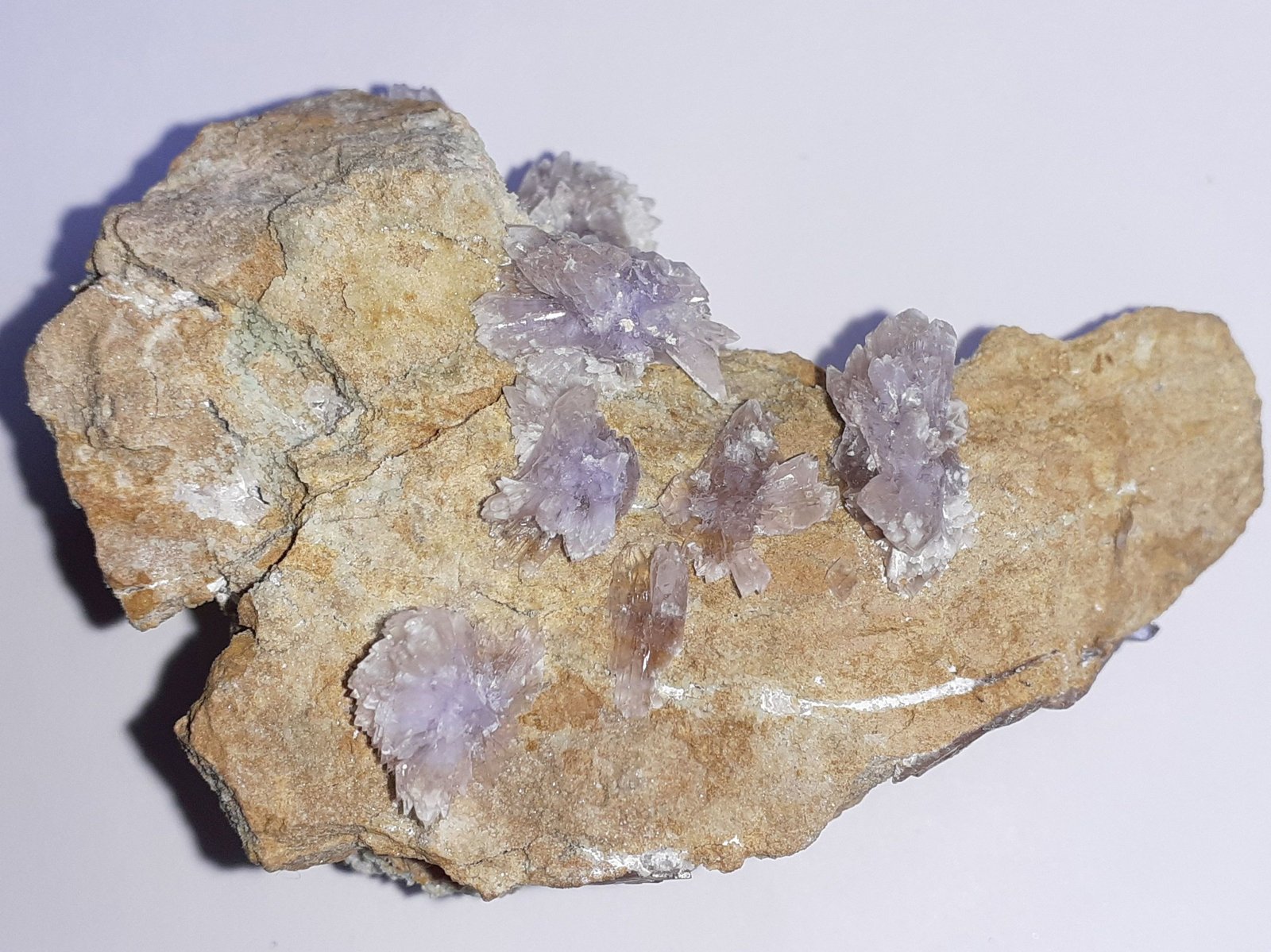 Creedite
6,5 x 4,5 cm
(Autor: Volkmar Stingl)