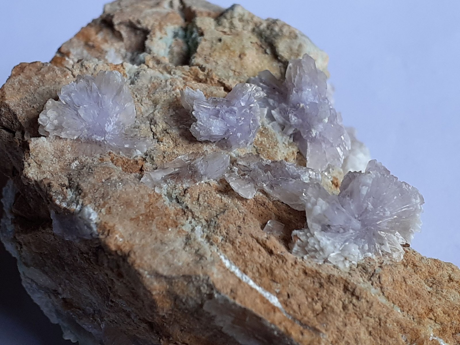 Creedite
6,5 x 4,5 cm
(Autor: Volkmar Stingl)