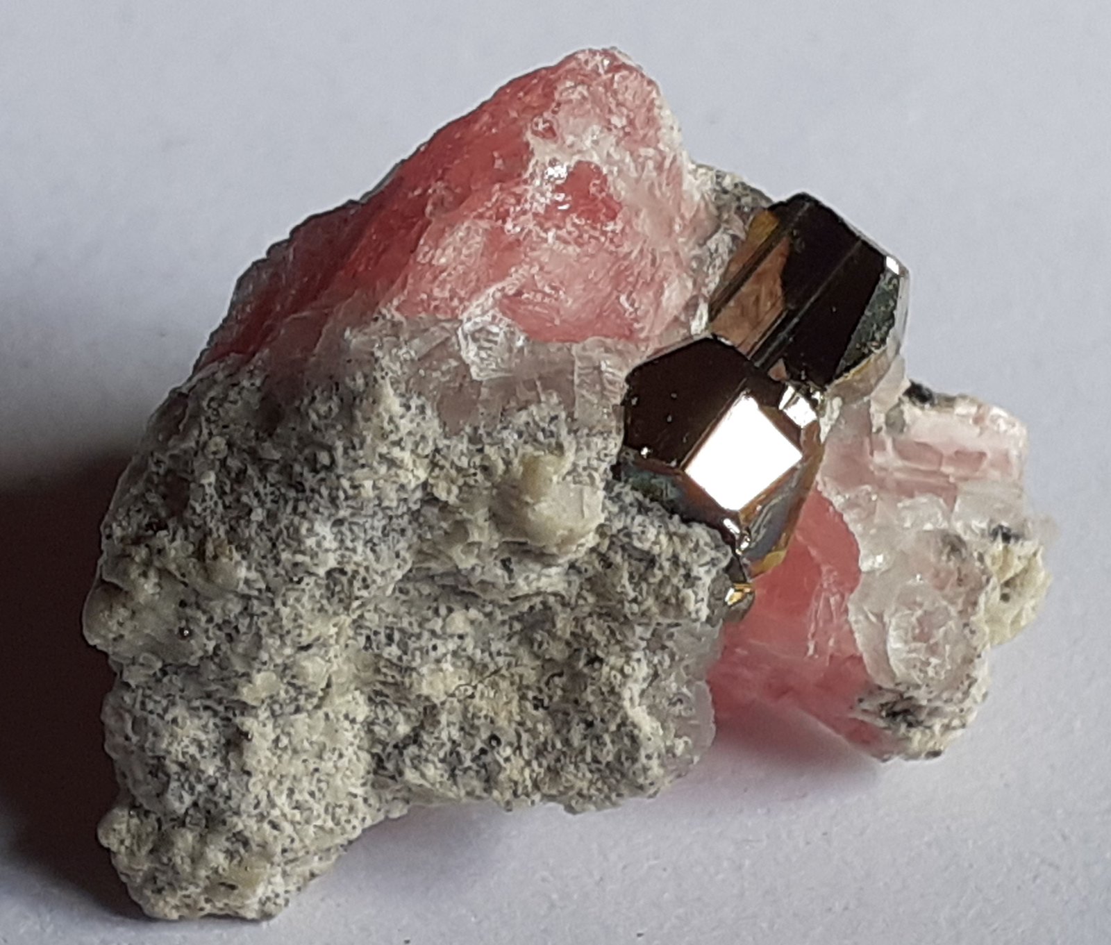 Pyrite, Rhodochrosite
2,5 x 1,5 cm
(Autor: Volkmar Stingl)