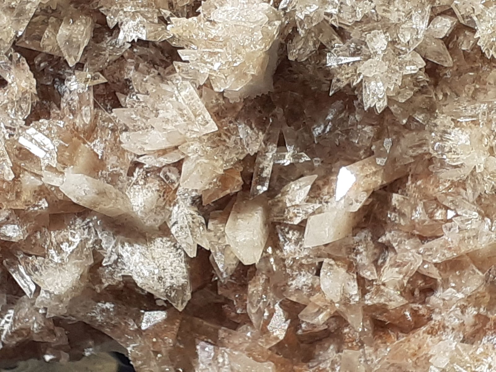Creedite
7 x 5 cm
(Autor: Volkmar Stingl)