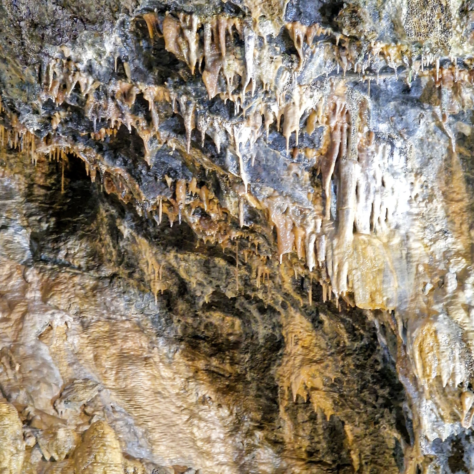 Calcite Barite Flowstone
Pano 10 meter
(Autor: Forrestblyth)