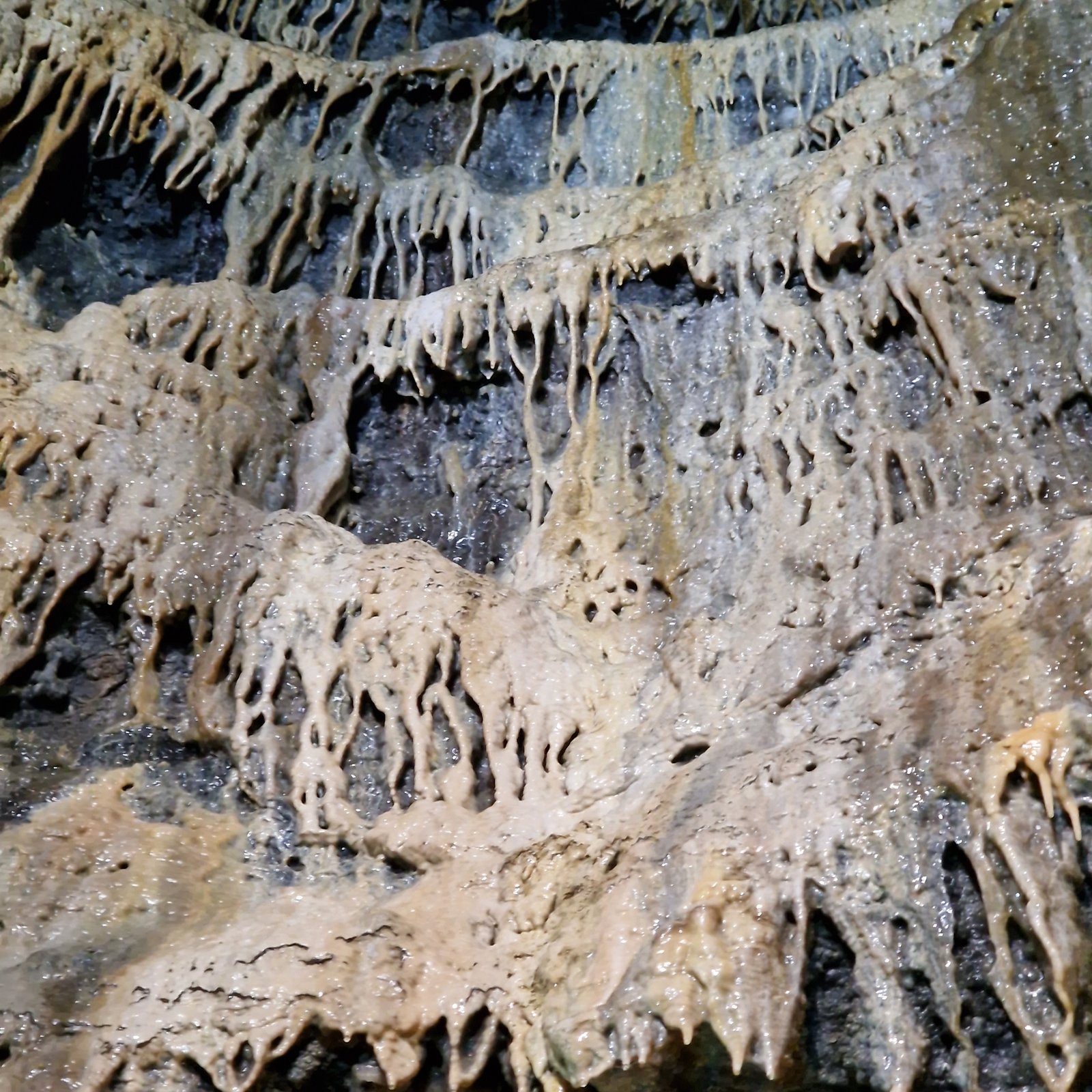 Calcite
4 meters
(Autor: Forrestblyth)