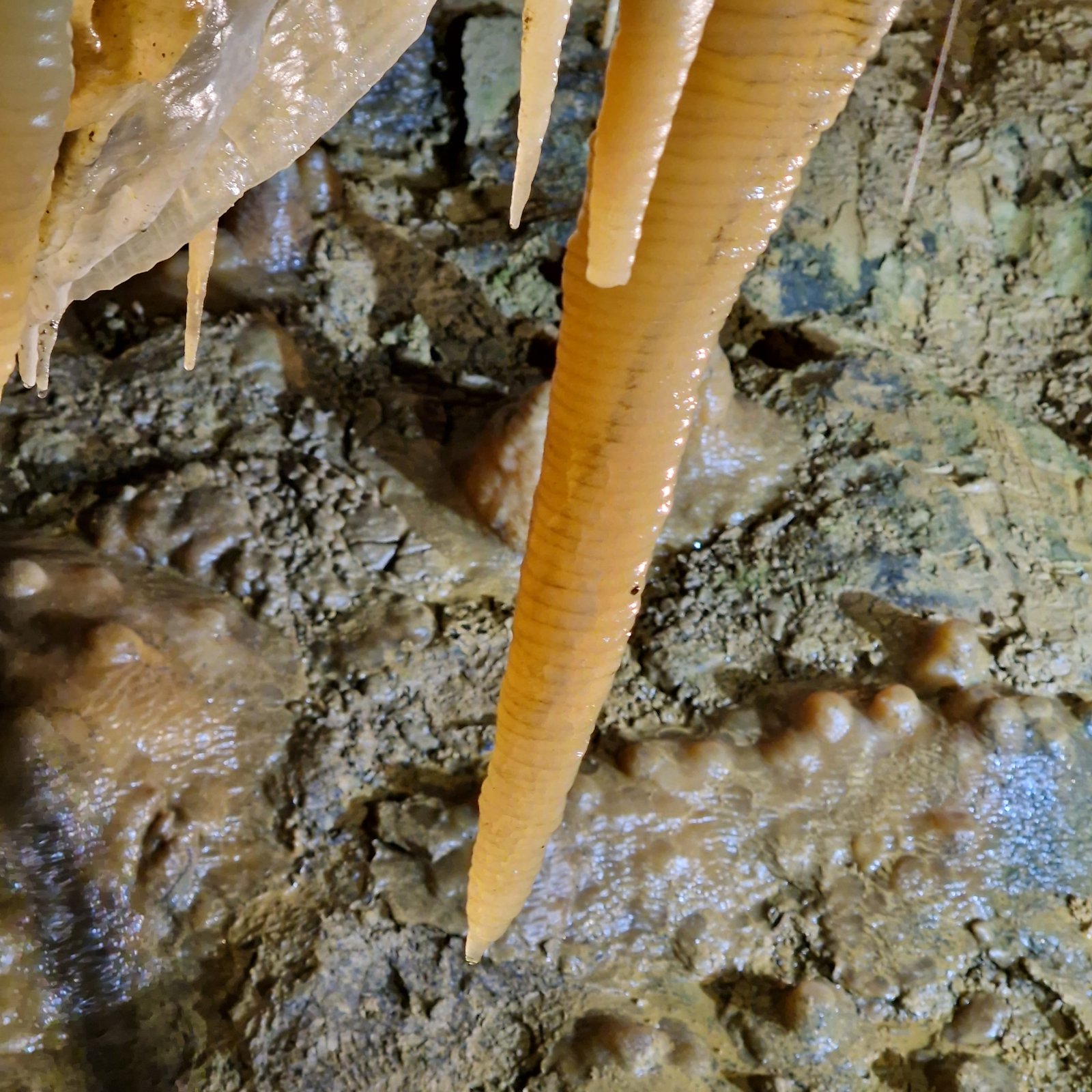 Calcite
4 meters
(Autor: Forrestblyth)