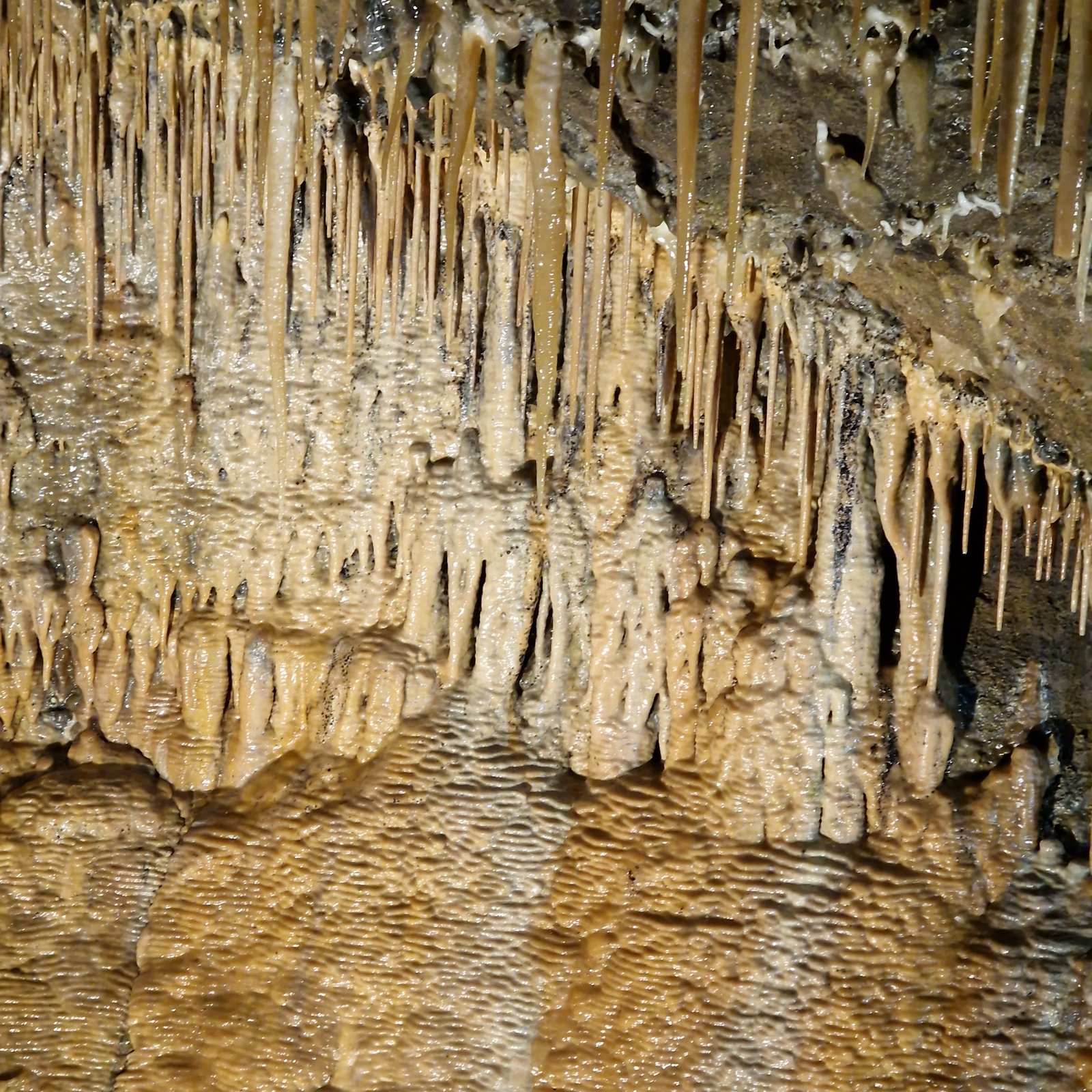 Calcite
4 meters
(Autor: Forrestblyth)