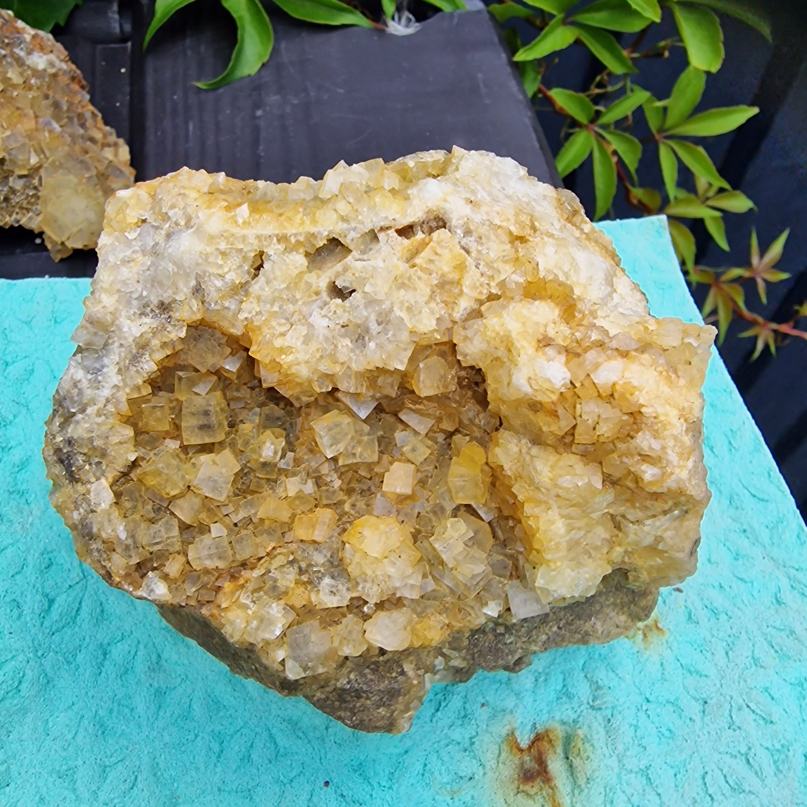 Fluorite
200 mm
(Autor: Forrestblyth)