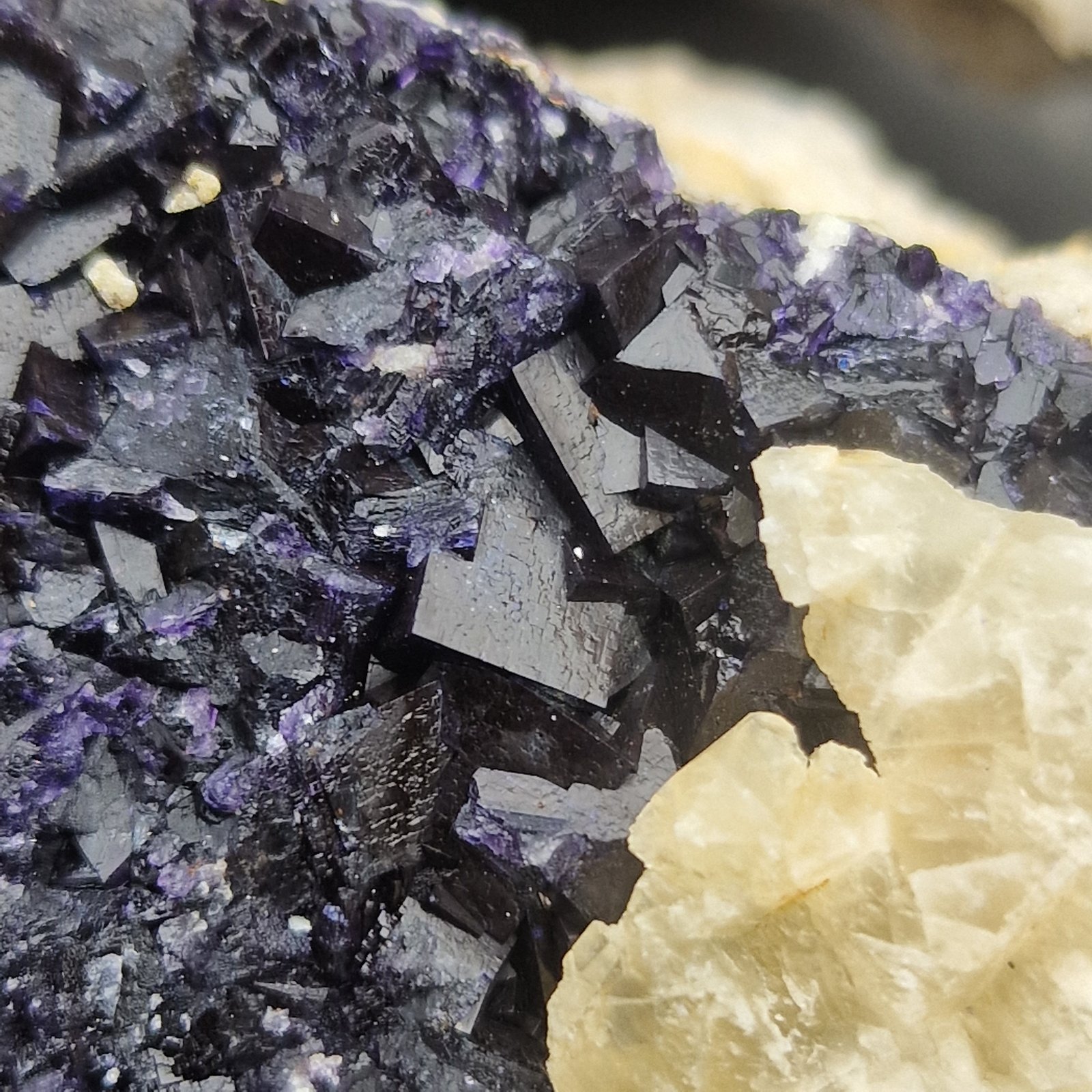 Fluorite
70cm x 70cmm
(Autor: Forrestblyth)