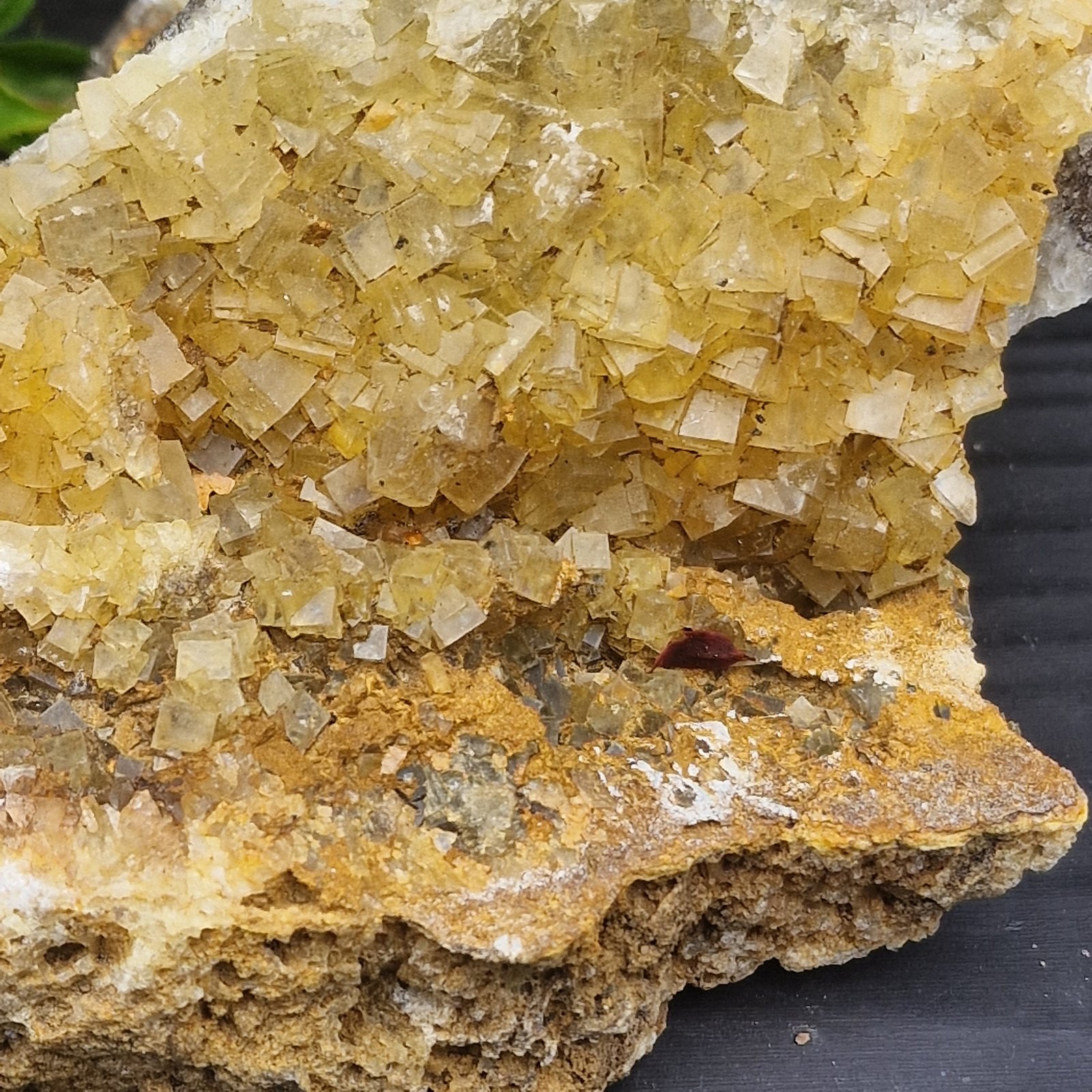 Fluorite
200 mm
(Autor: Forrestblyth)