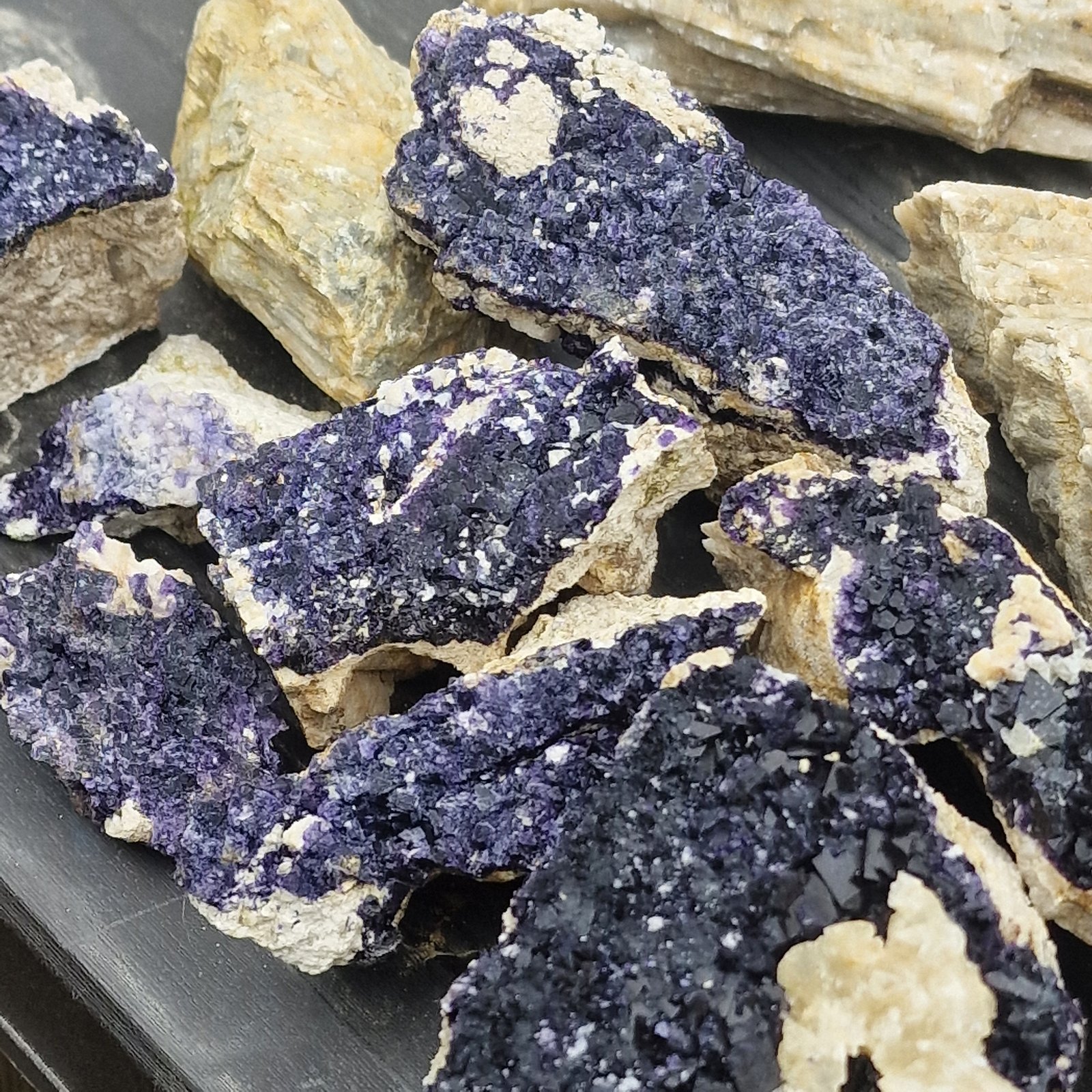 Fluorite
70cm x 70cmm
(Autor: Forrestblyth)