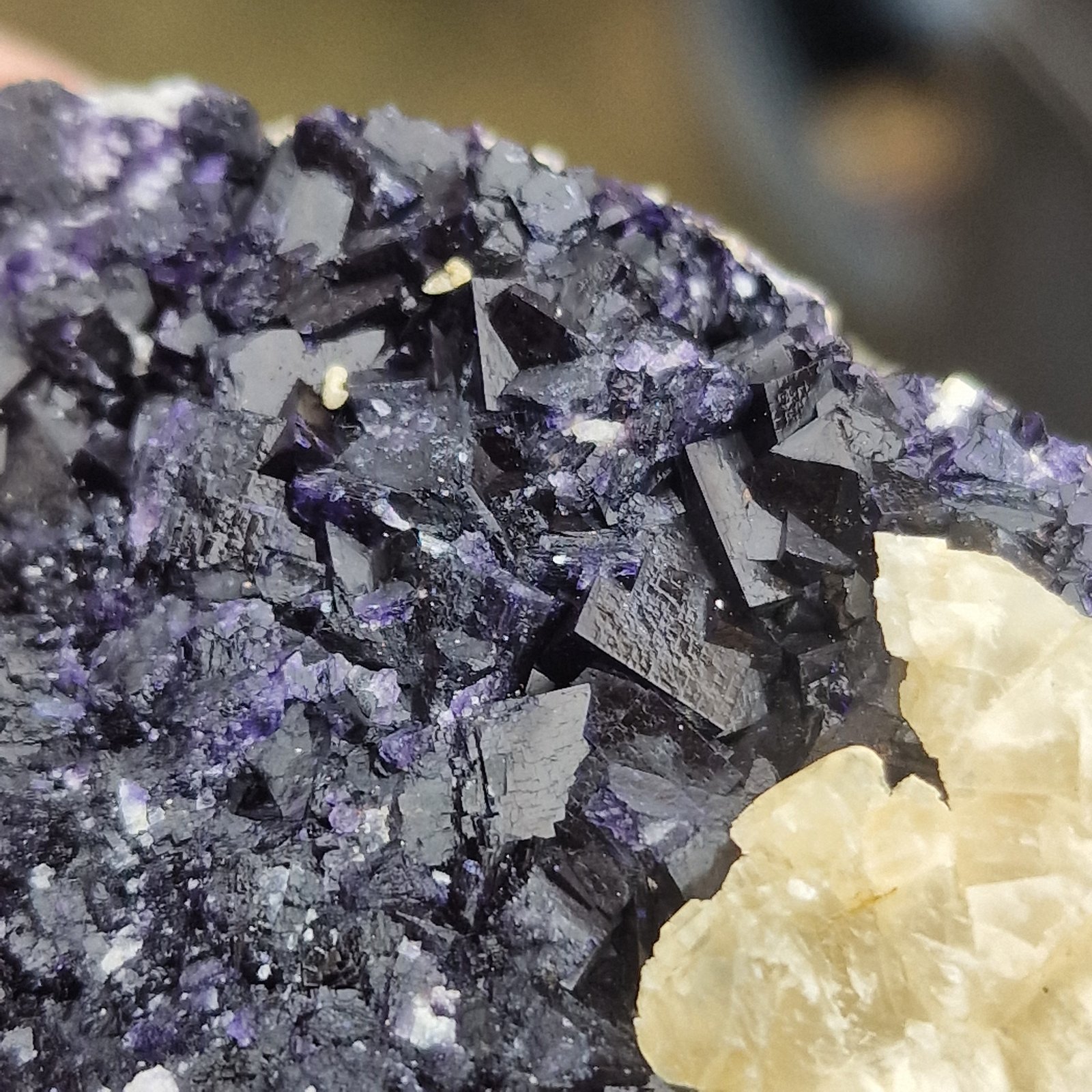 Fluorite
70cm x 70cmm
(Autor: Forrestblyth)