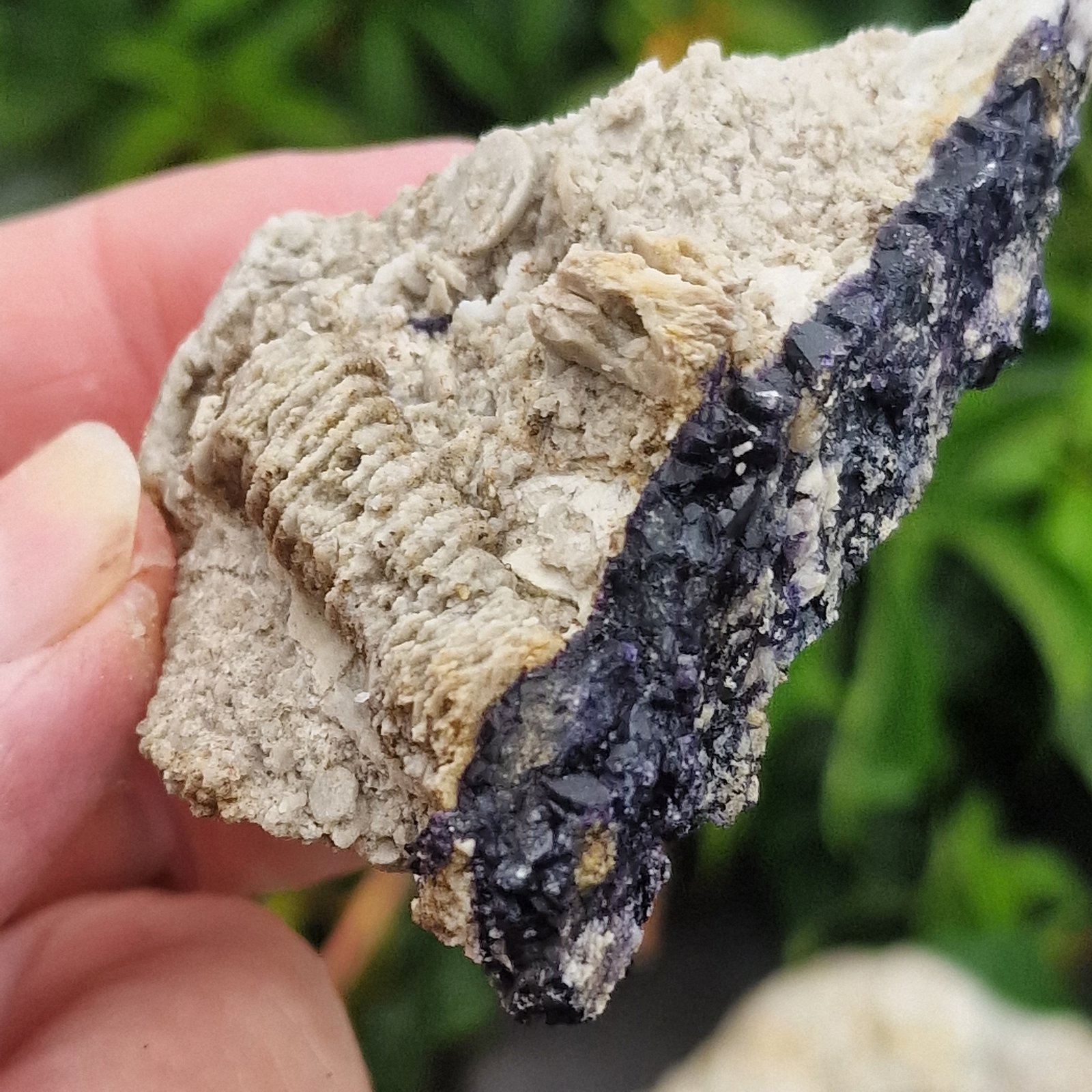 Fluorite
70cm x 70cmm
(Autor: Forrestblyth)