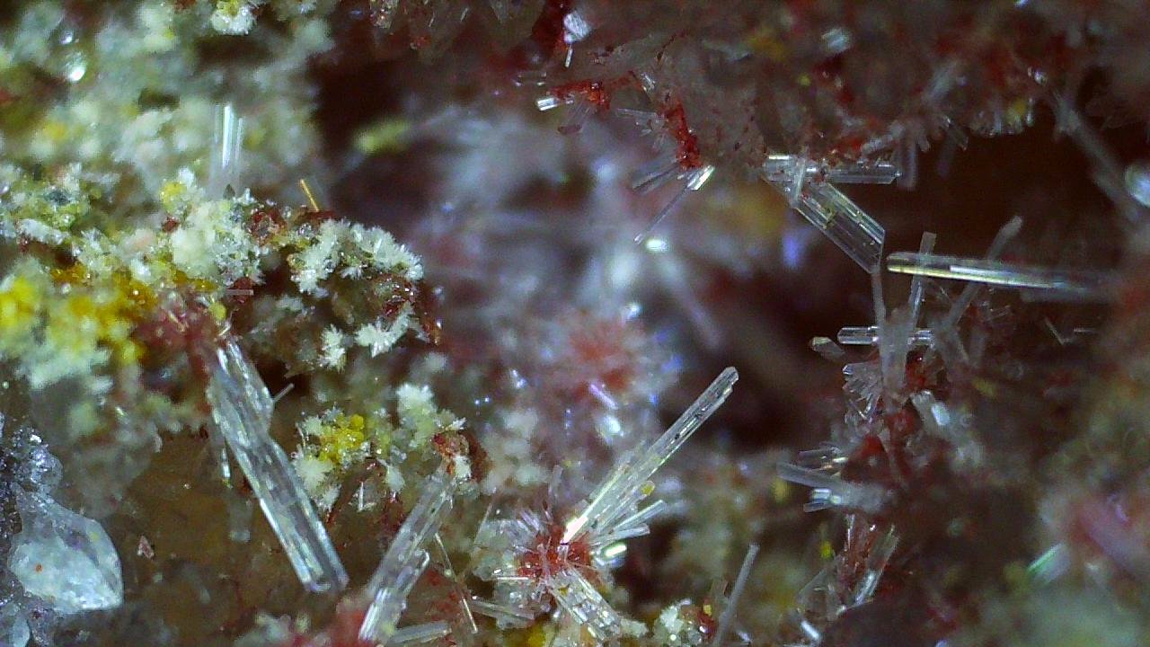 Peretaite, Ottensite
2,2 x 1,5 cm
(Autor: Volkmar Stingl)