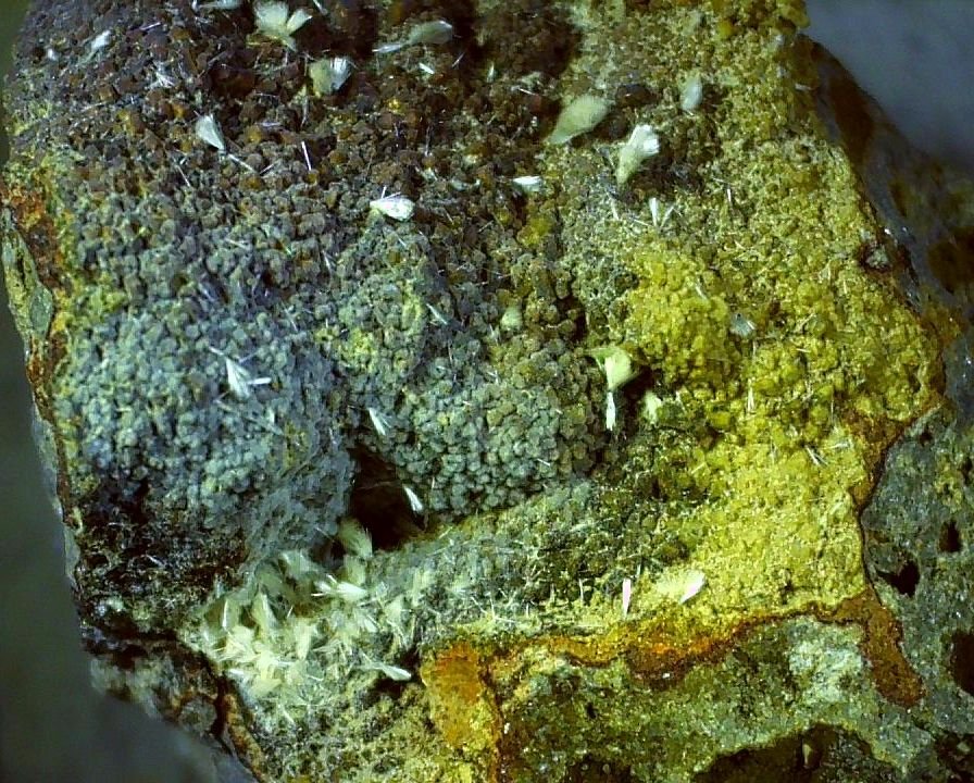 Ferrierite-Mg
2,5 x 1,5 cm
(Autor: Volkmar Stingl)
