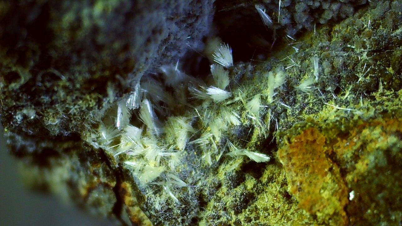 Ferrierite-Mg
2,5 x 1,5 cm
(Autor: Volkmar Stingl)