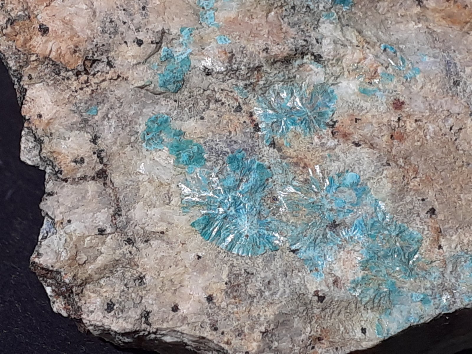 Tyrolite
FoV ca. 3 x 2 cm
(Autor: Volkmar Stingl)