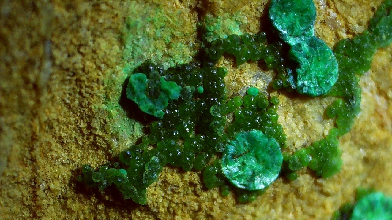 Tyrolite, Cuproadamite
FoV ca. 1,5 x 0,8 cm
(Autor: Volkmar Stingl)