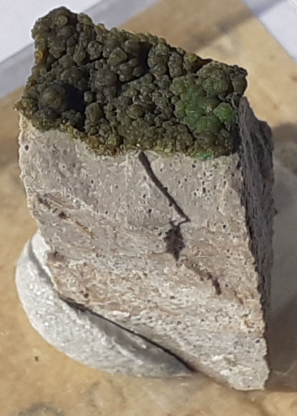 Variscite
1,2 x 1,0 cm
(Autor: Volkmar Stingl)