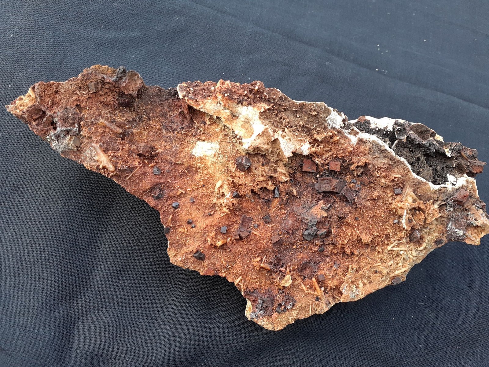 Goethite ps. Pyrite, Quartz
18,5 x 8,5 cm
(Autor: Volkmar Stingl)