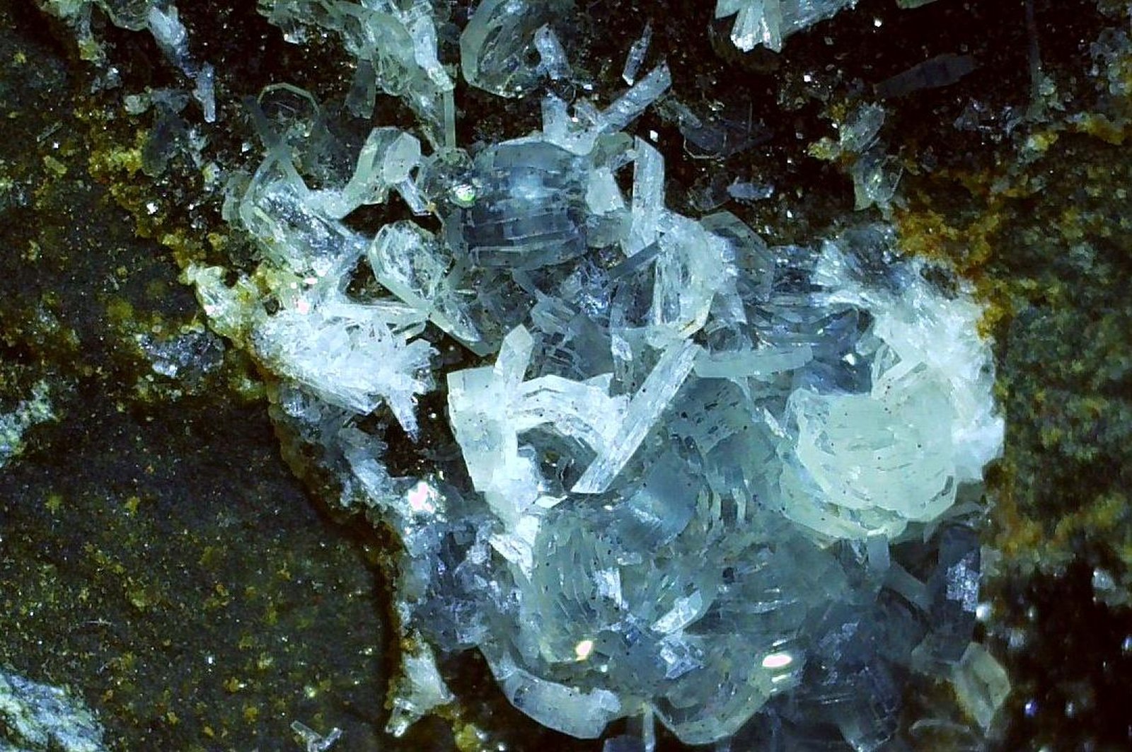 Prehnite, Laumontite
FoV 1,4 x 1,0 cm
(Autor: Volkmar Stingl)