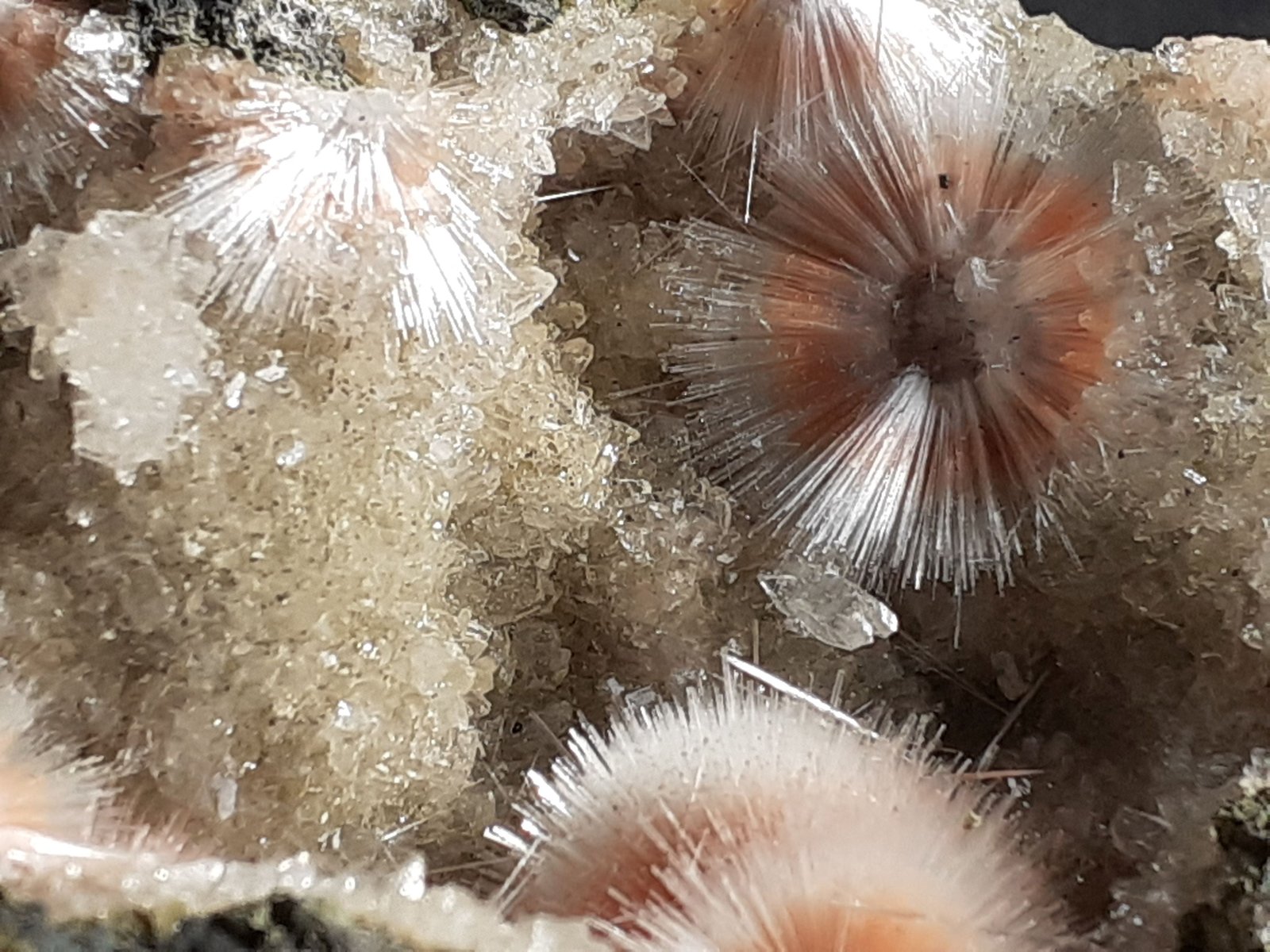 Mesolite on Thomsonite
6 x 4,5 cm
(Autor: Volkmar Stingl)