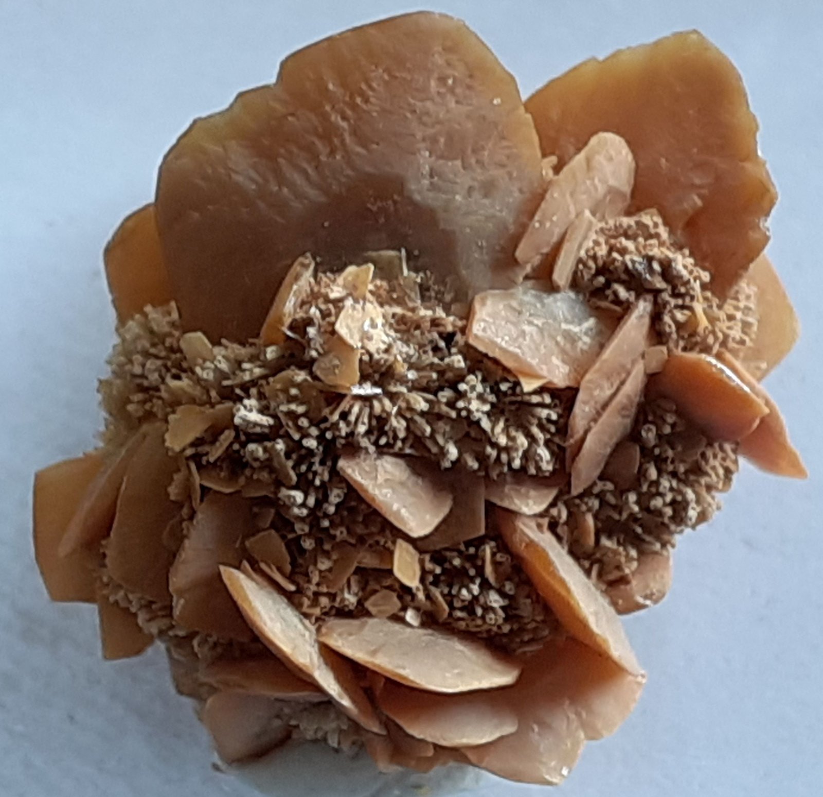 Wulfenite
2 x 1,5 cm
(Autor: Volkmar Stingl)