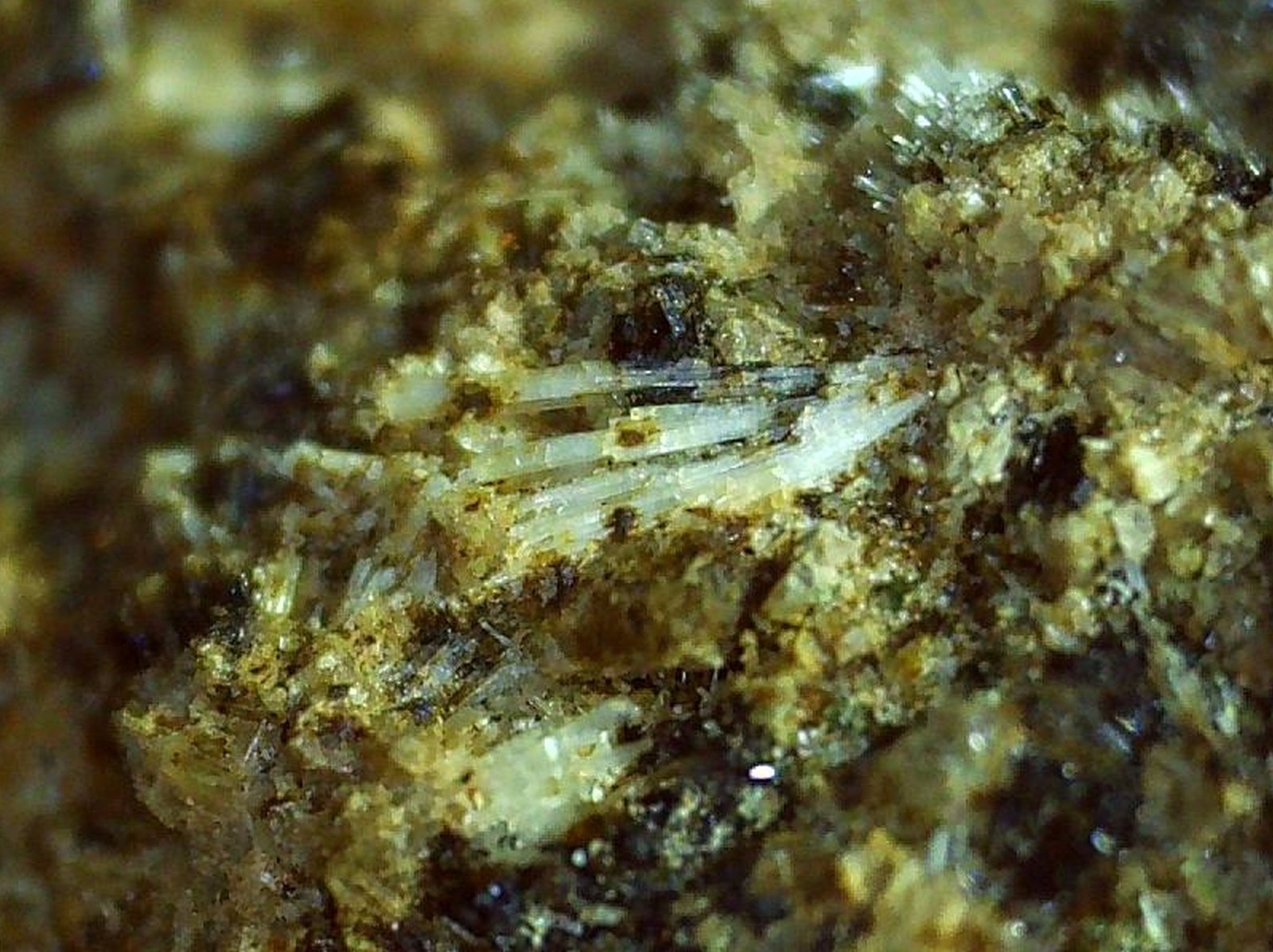 Eirikite
2,5 x 2 cm
(Autor: Volkmar Stingl)
