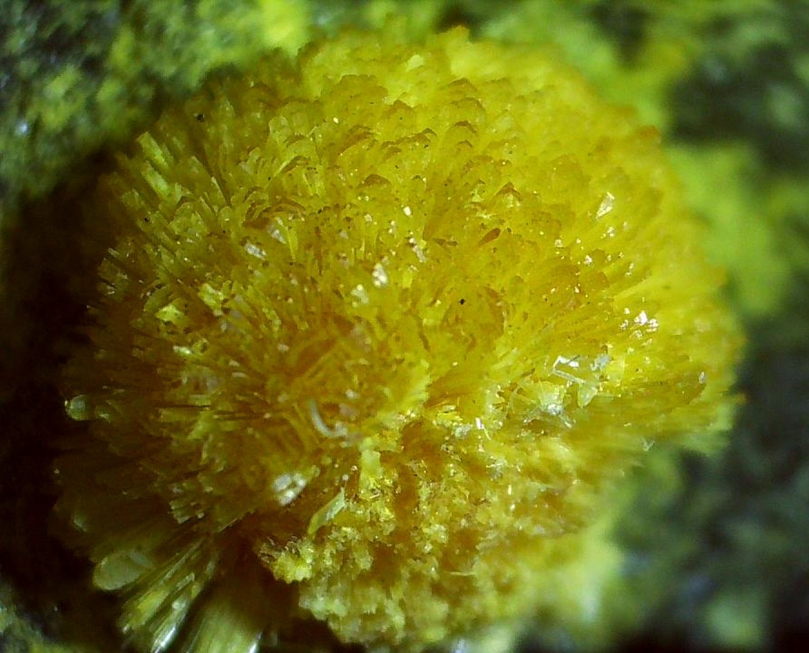 Valentinite
3 x 2,5 cm
(Autor: Volkmar Stingl)