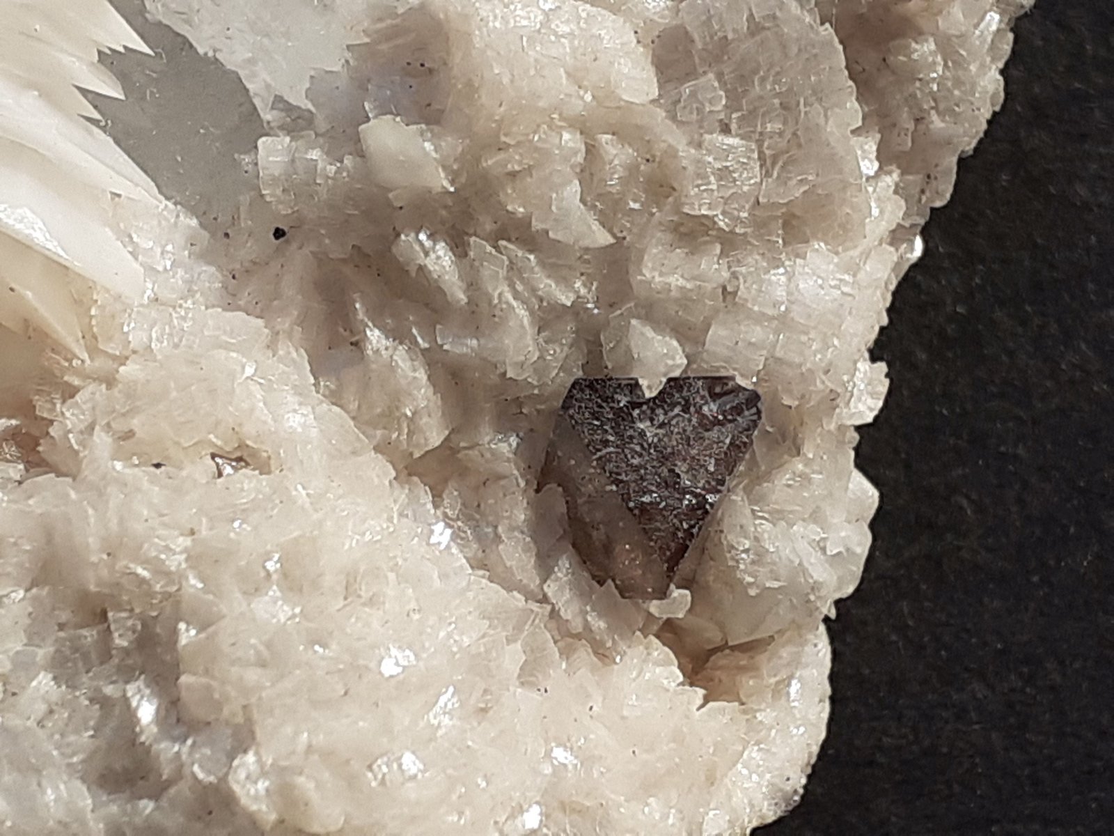 Scheelite, Calcite, Dolomite, Quartz
6 x 6 cm
(Autor: Volkmar Stingl)