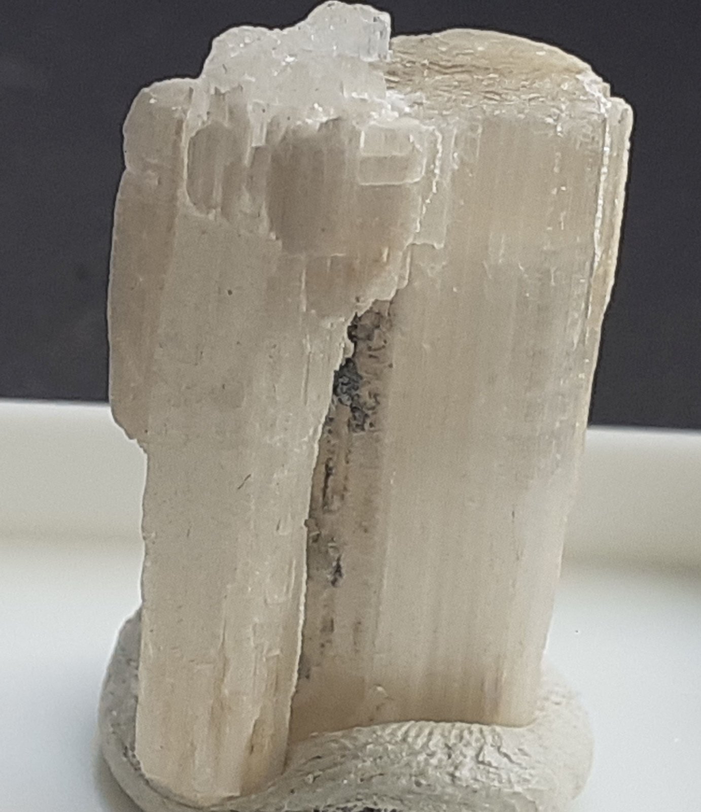 Beryllonite
2 x 1,3 cm
(Autor: Volkmar Stingl)