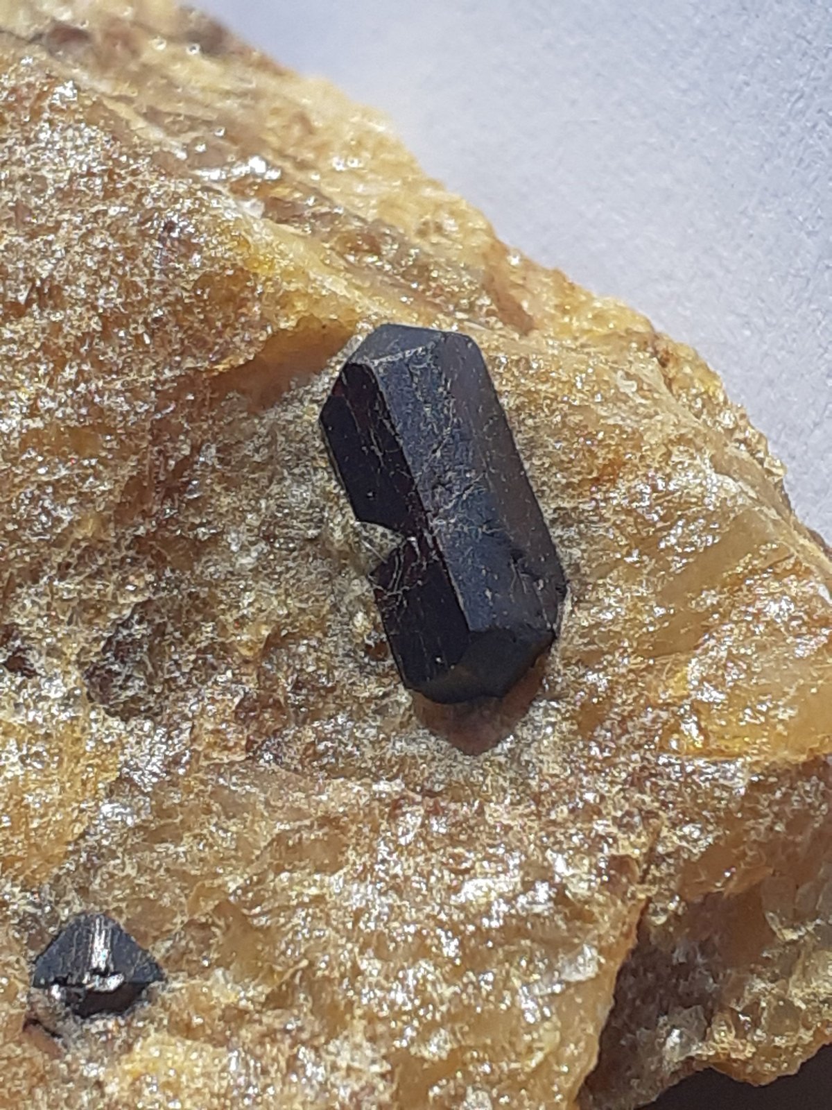 Rutile
4,5 x 2,5 cm
(Autor: Volkmar Stingl)