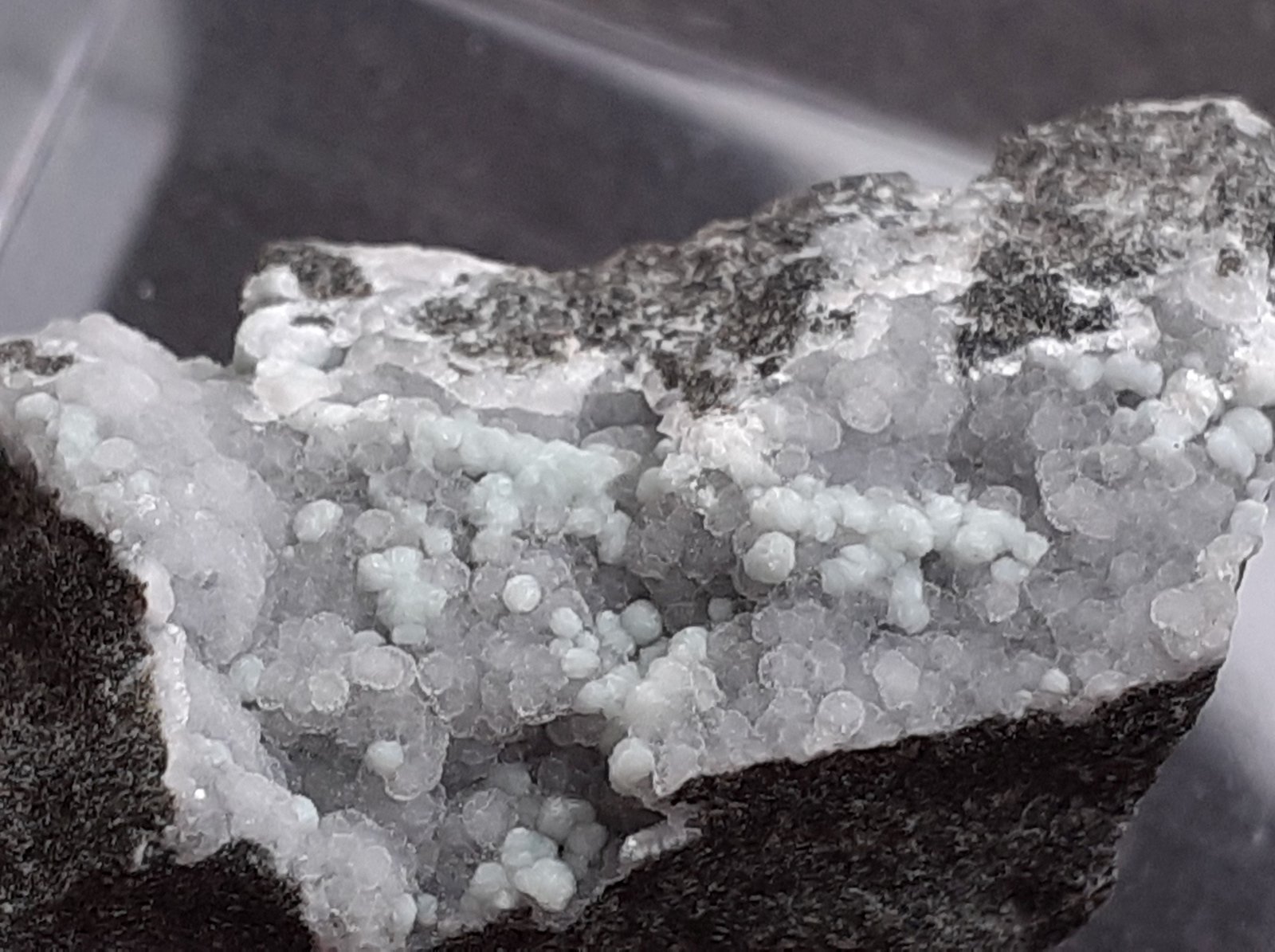 Motukoreaite
2,5 x 1,2 cm
(Autor: Volkmar Stingl)