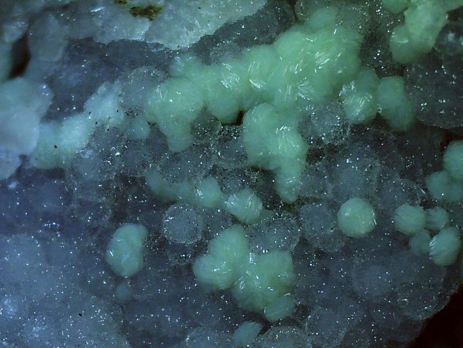 Motukoreaite
2,5 x 1,2 cm
(Autor: Volkmar Stingl)