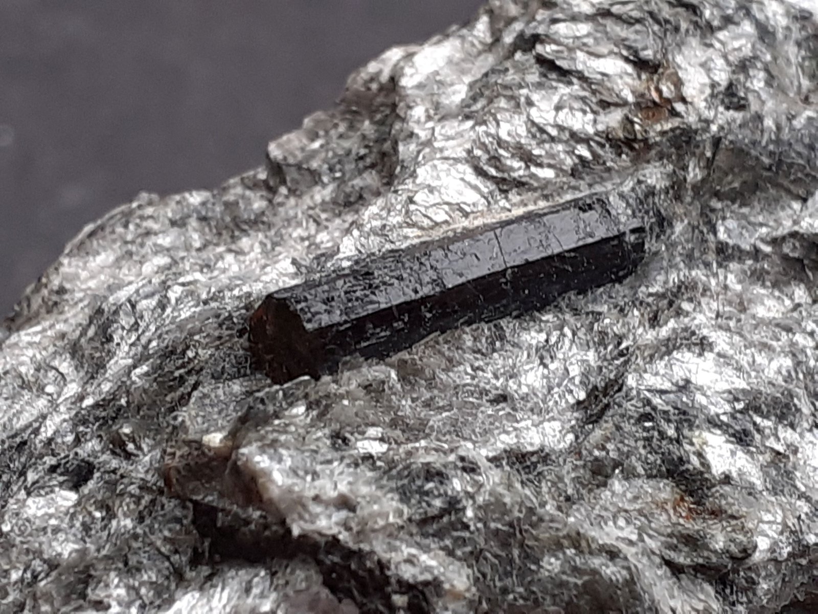 Schorl (Tourmaline Group)
10 x 6 cm
(Autor: Volkmar Stingl)