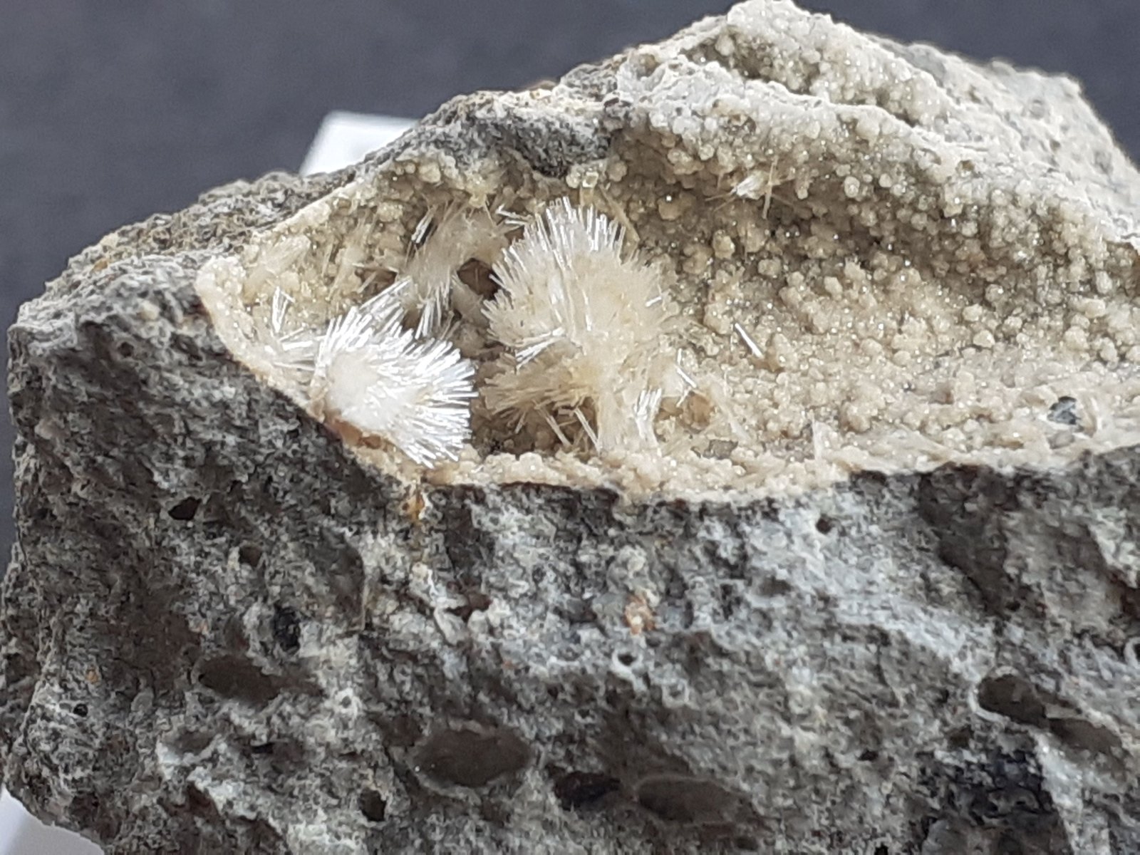 Natrolite, Analcime
FoV ca. 2 x 1,5 cm
(Autor: Volkmar Stingl)