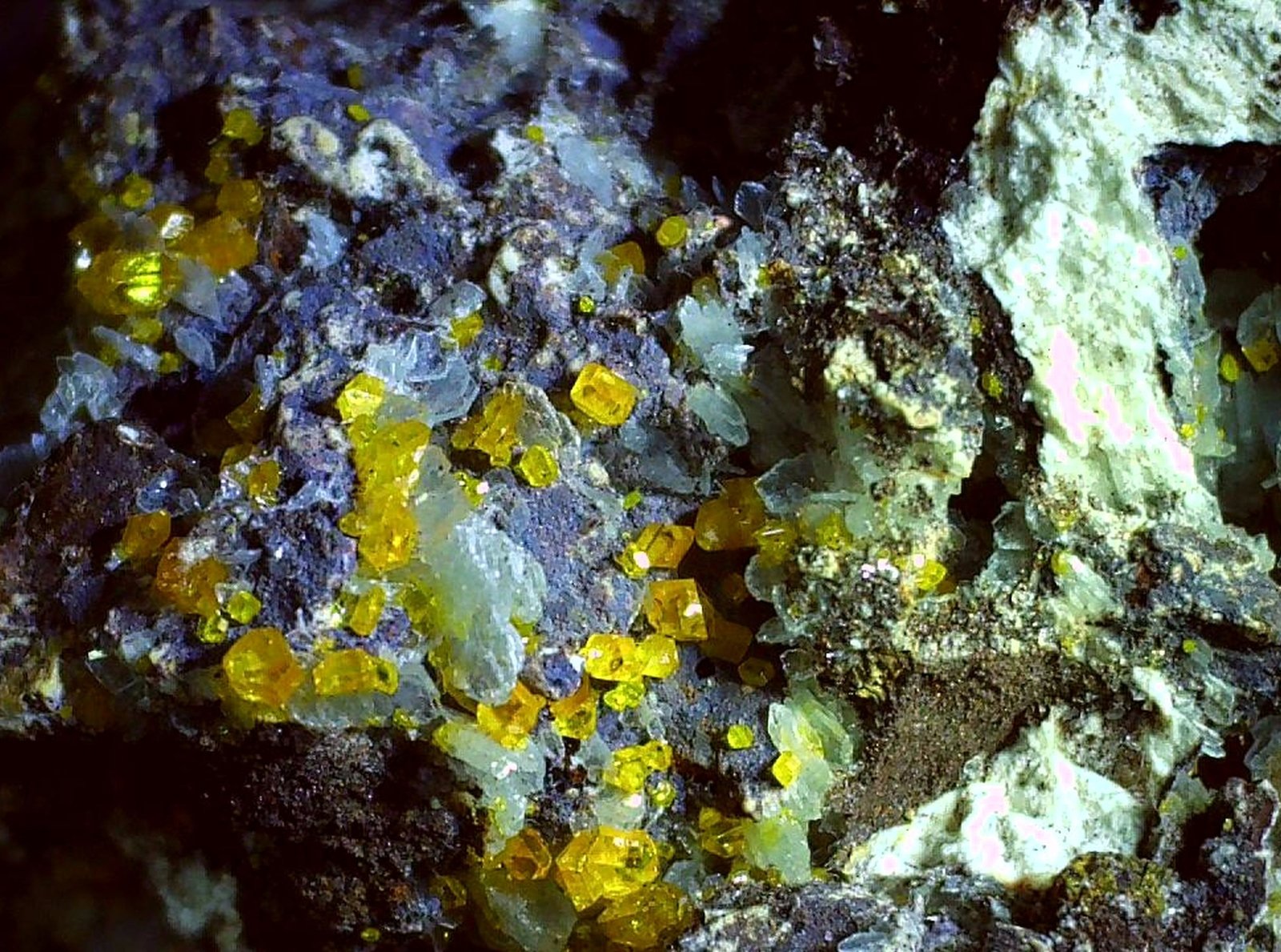 3 x 2,5 cm
(Autor: Volkmar Stingl)