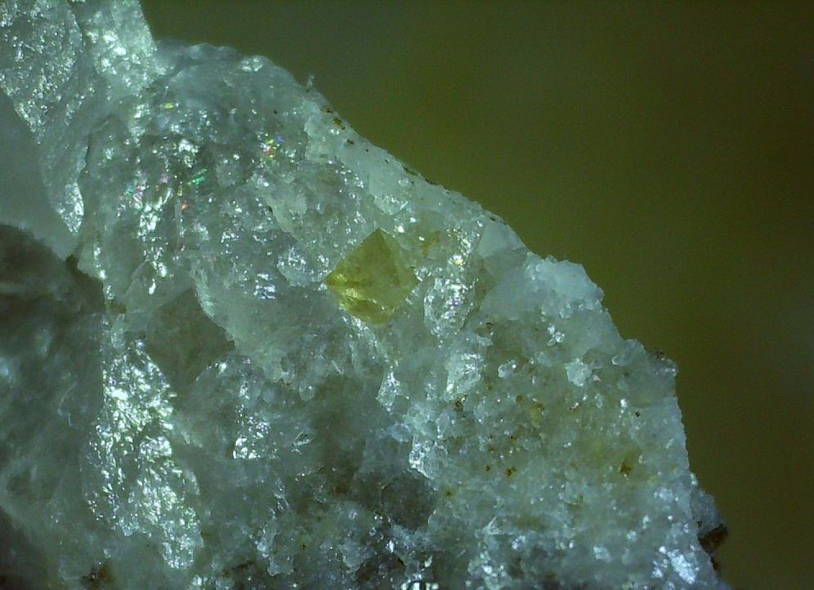 Scheelite
2,5 x 1,8 cm
(Autor: Volkmar Stingl)