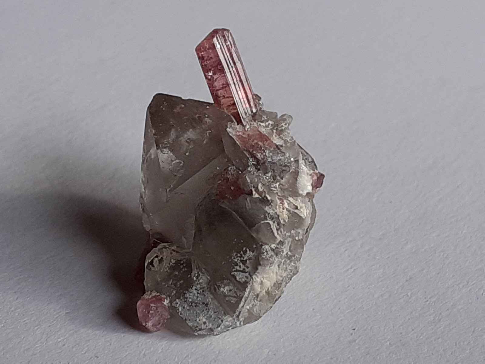 Elbaite (variety Rubellite), Quartz
2 x 2 cm
(Autor: Volkmar Stingl)