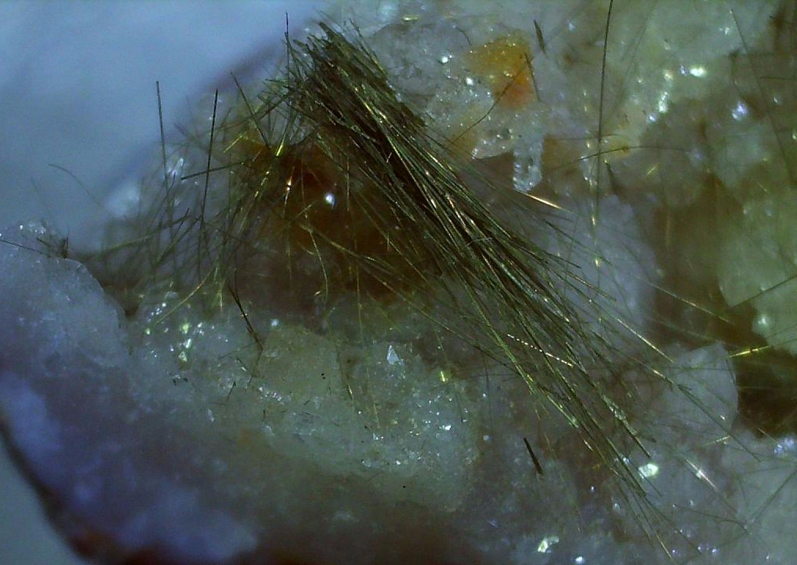Millerite
2 x 1 cm
(Autor: Volkmar Stingl)
