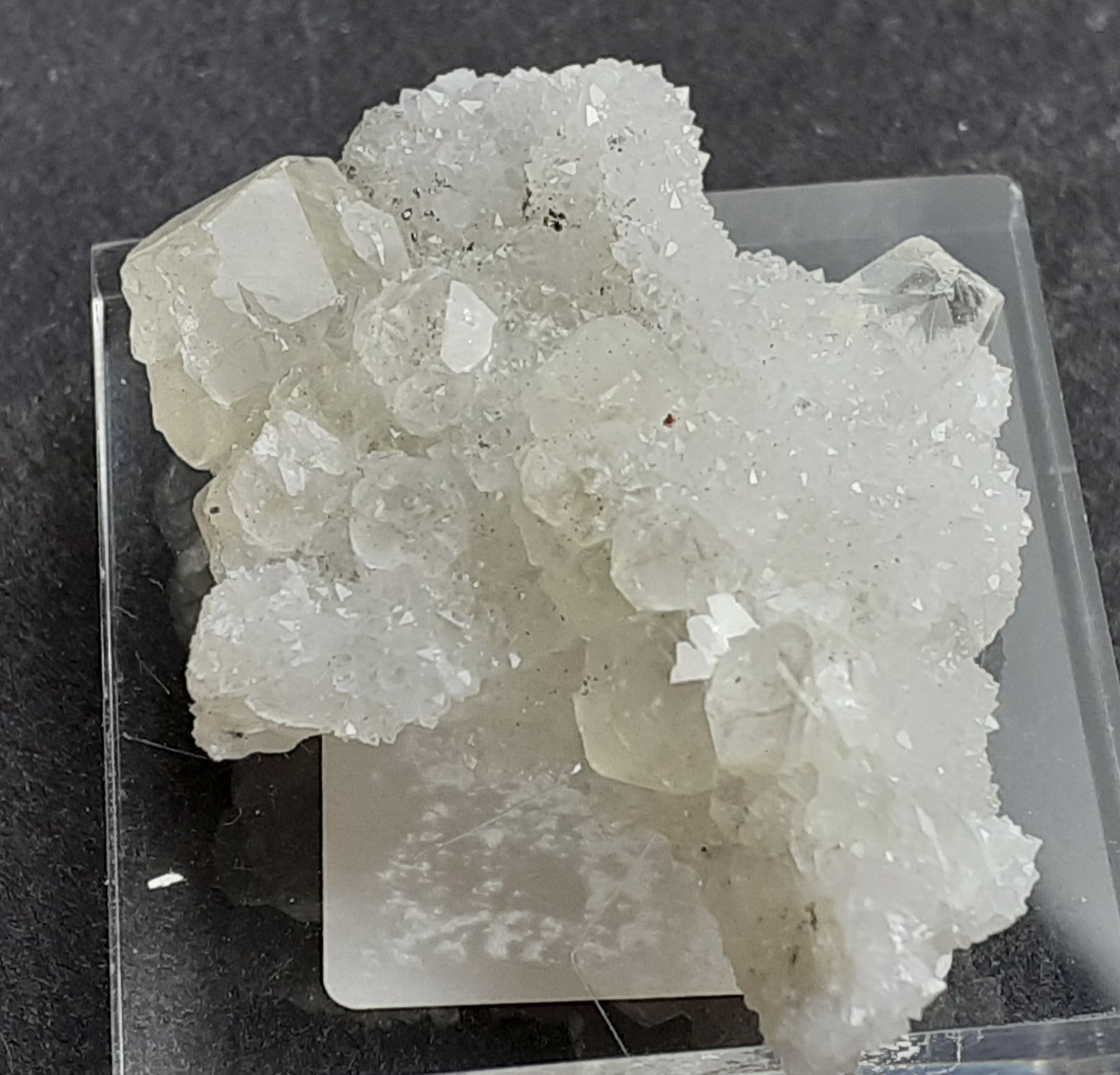 Calcite, Quartz
3,5 x 2,5 cm
(Autor: Volkmar Stingl)