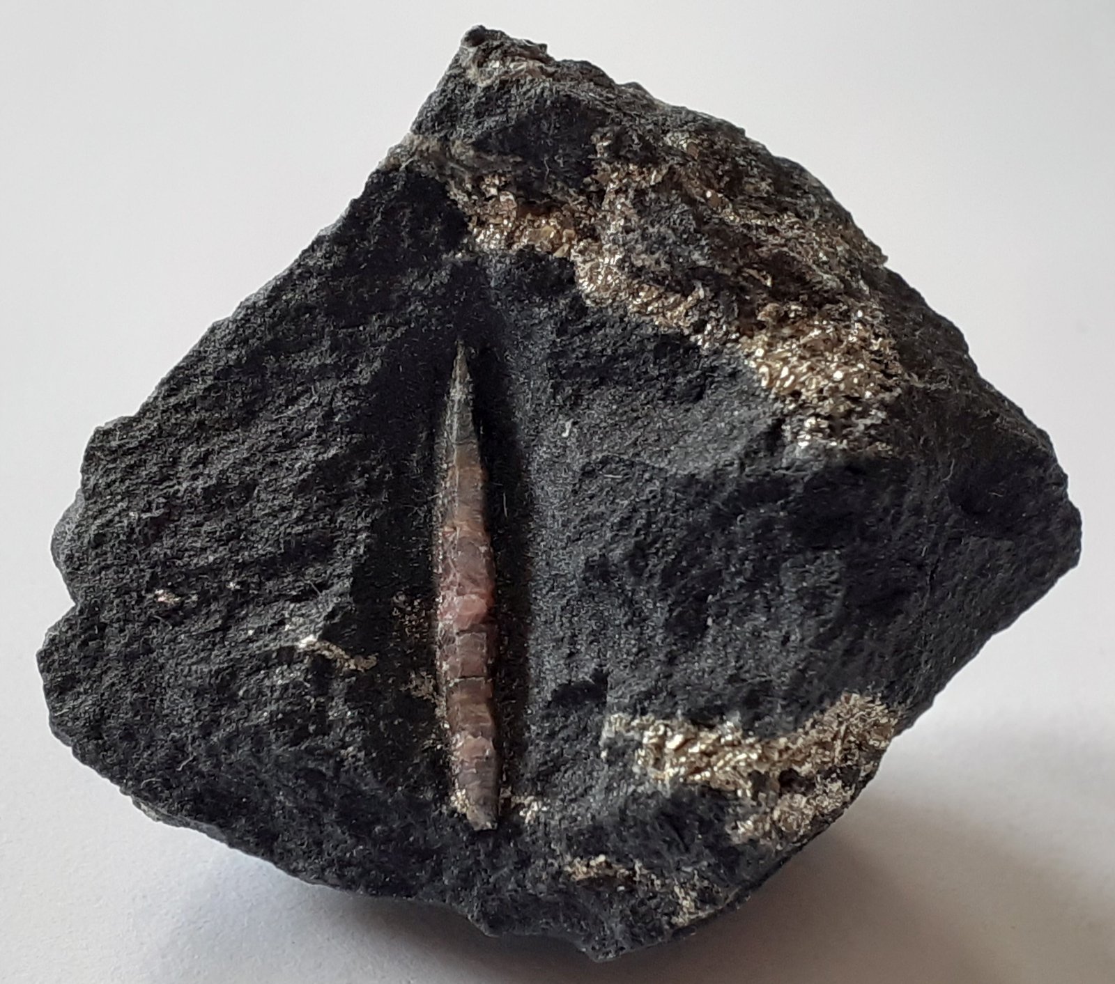Corundum, Pyrite
3 x 3 cm
(Autor: Volkmar Stingl)