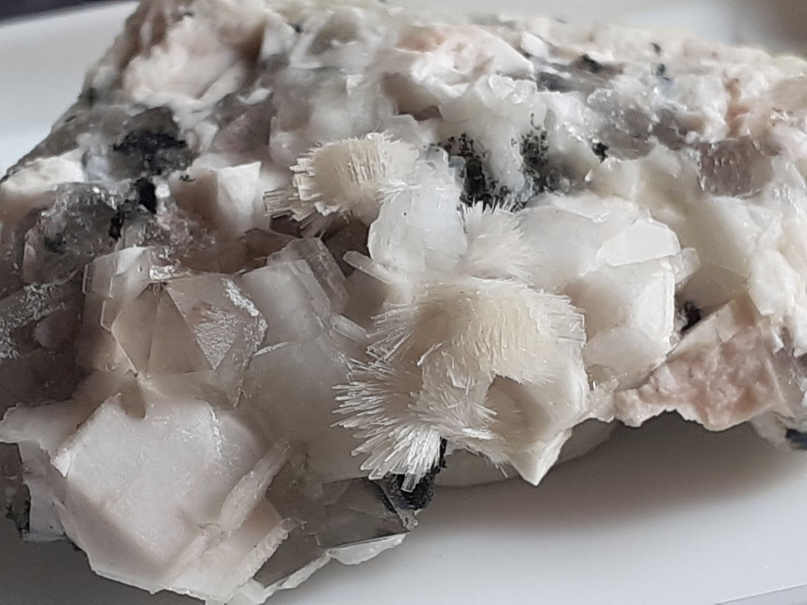 Bavenite, Quartz (variety smoky quartz), Orthoclase
3 x 2 cm.
(Autor: Volkmar Stingl)