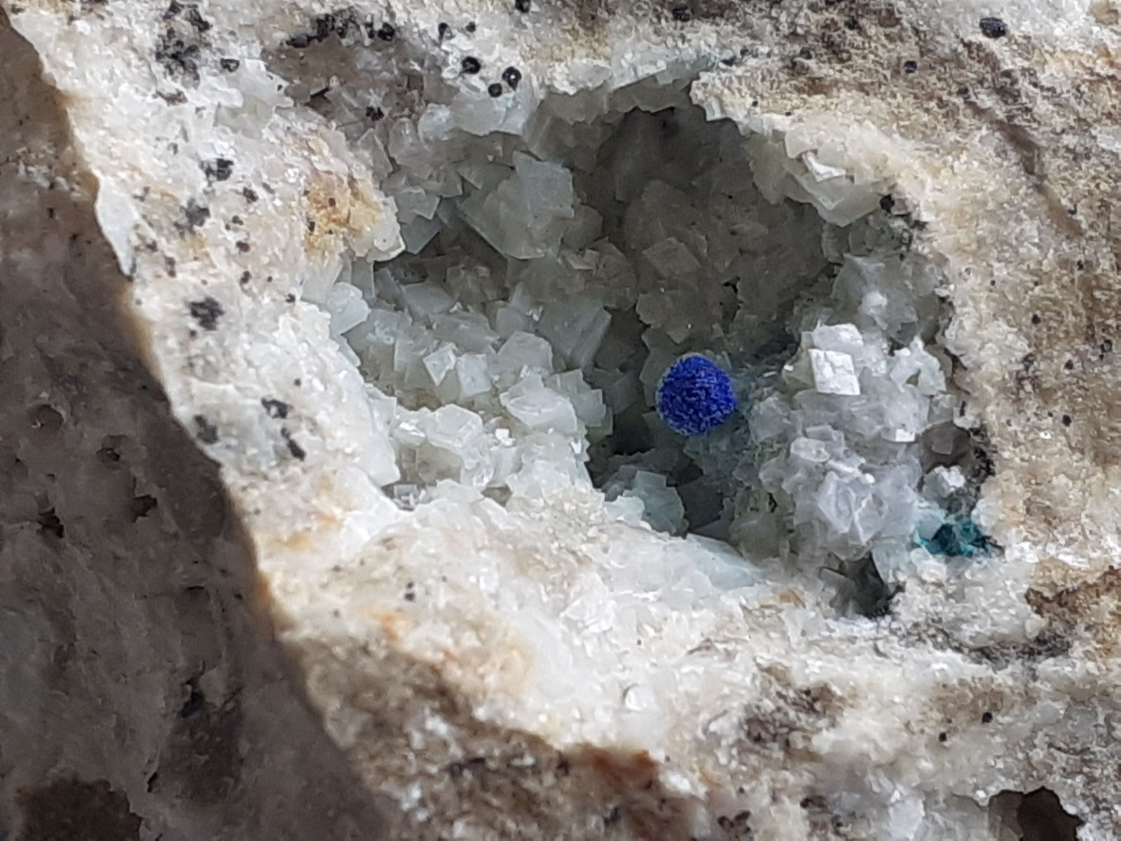Azurite, Dolomite
FoV 2,5 x 2 cm
(Autor: Volkmar Stingl)