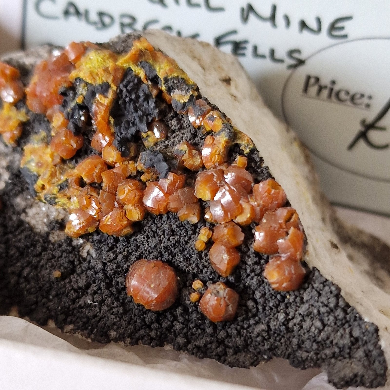 Mimetite (variety campylite)
60 mm matrix with 5 mm crystals
(Autor: Forrestblyth)