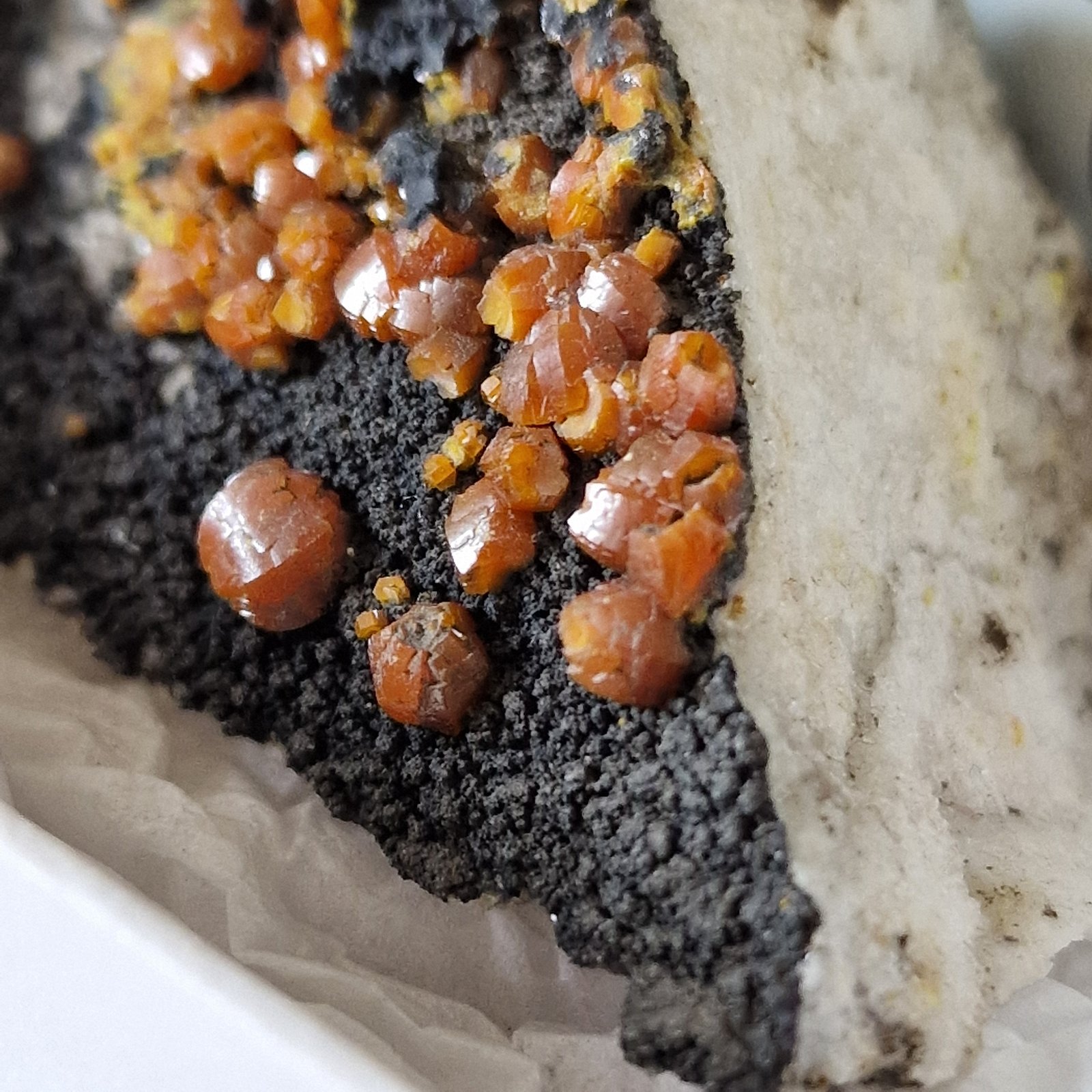 Mimetite (variety campylite)
60 mm matrix with 5mm crystals
(Autor: Forrestblyth)