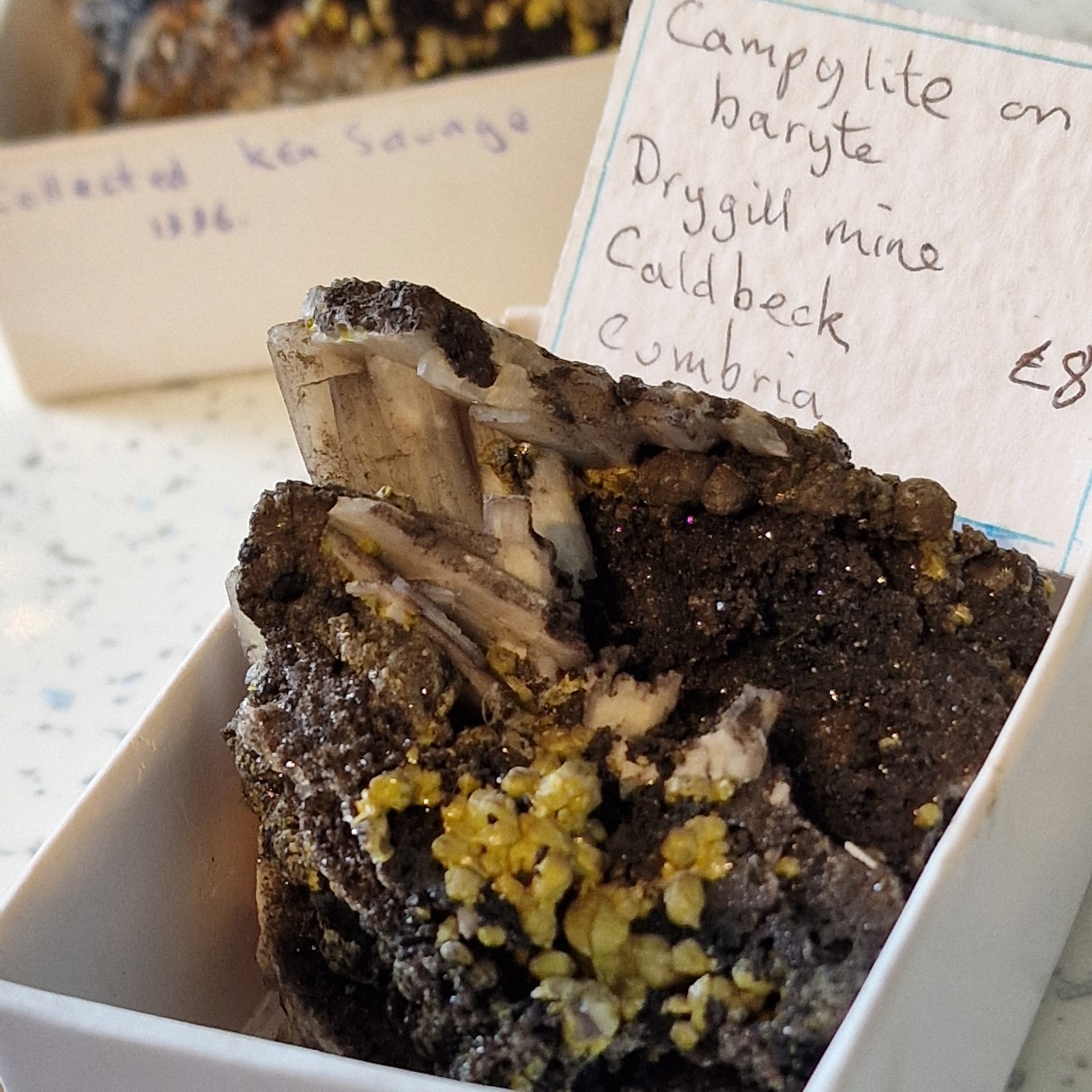 Mimetite (variety campylite) with associated barite and zinc based crystals
60mm matrix 5mm crystals
(Autor: Forrestblyth)